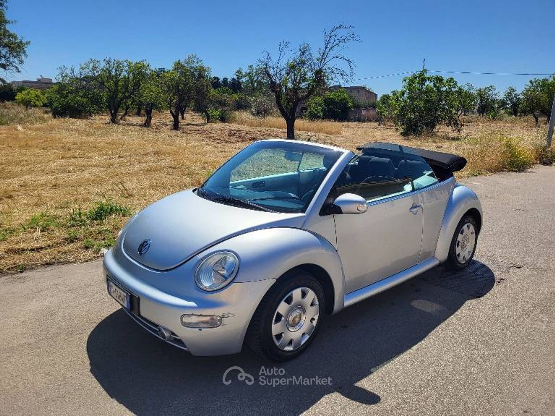 Volkswagen New Beetle