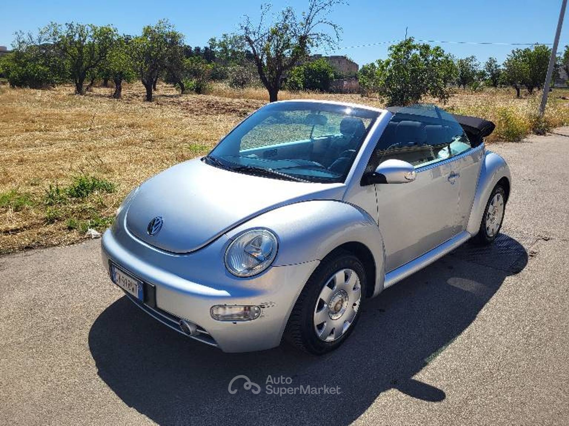 Volkswagen New Beetle