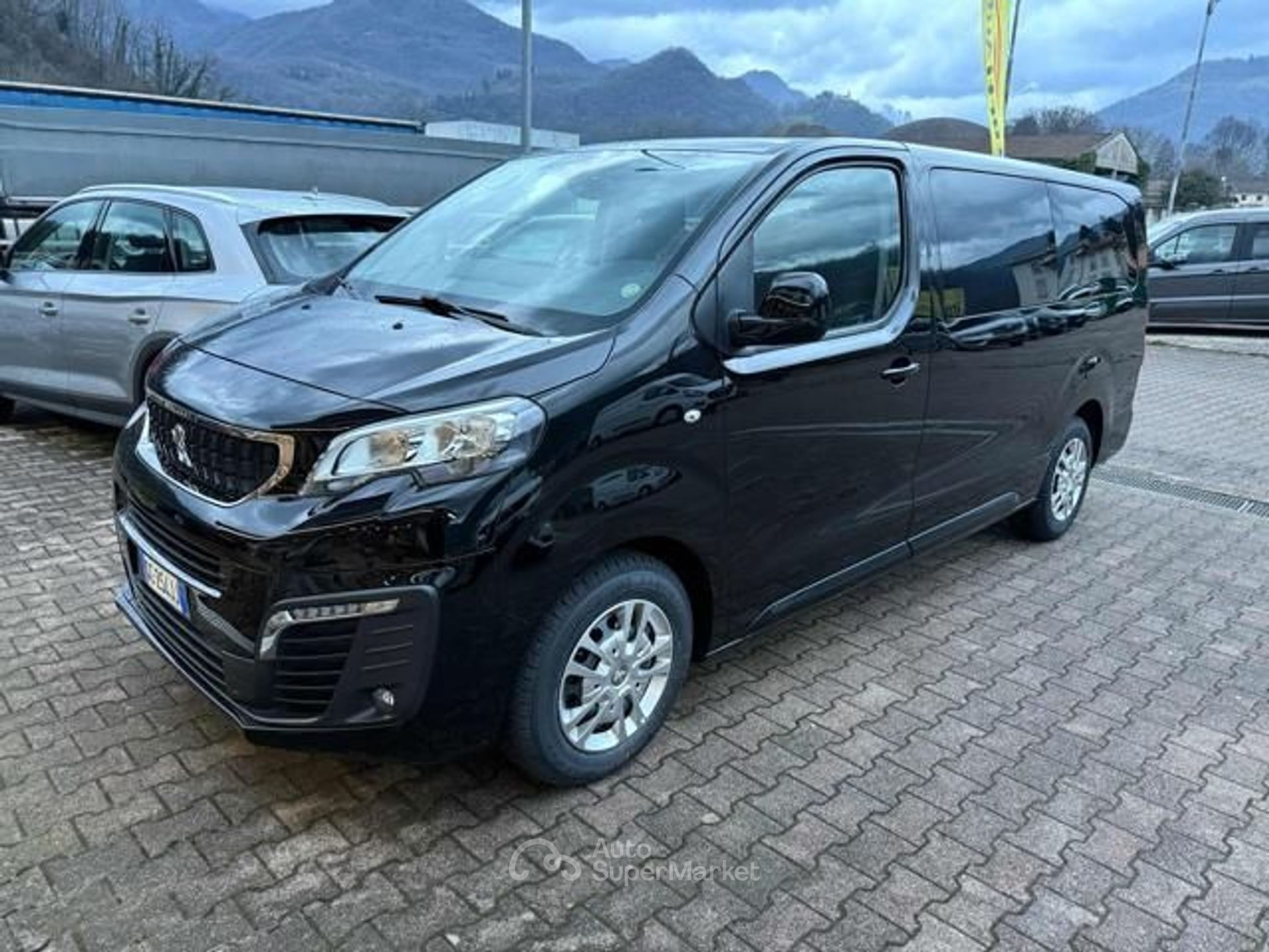 Peugeot Traveller