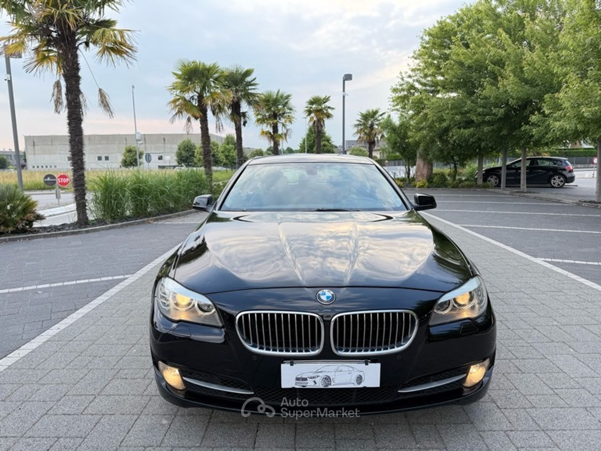 BMW Serie 5 520d