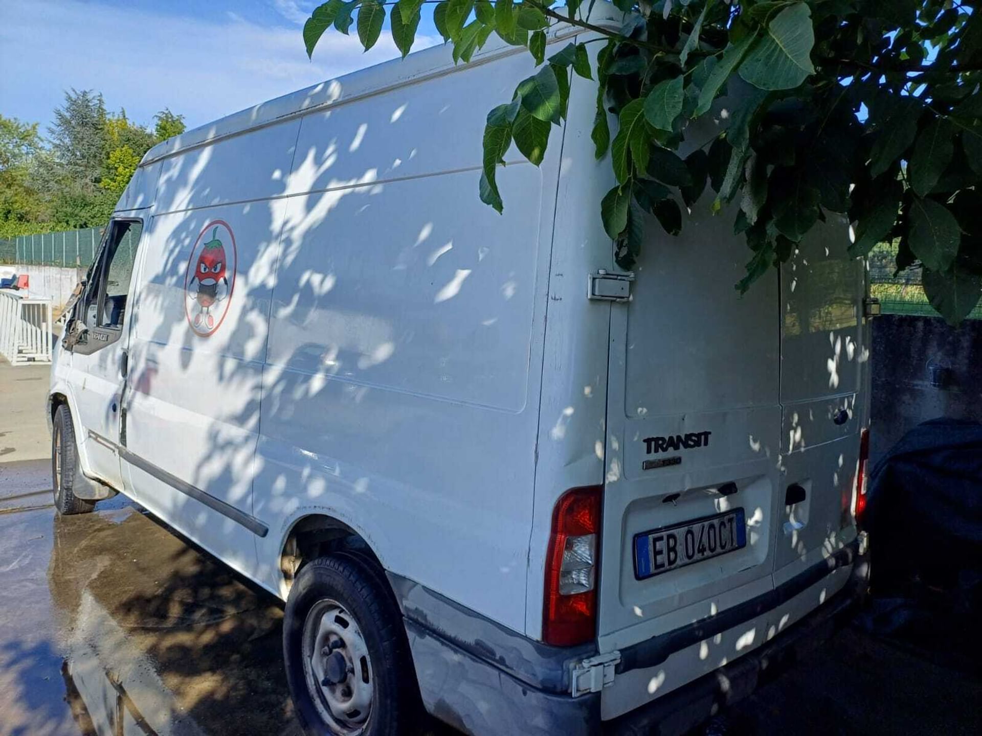 Ford Transit/Tourneo/Bus