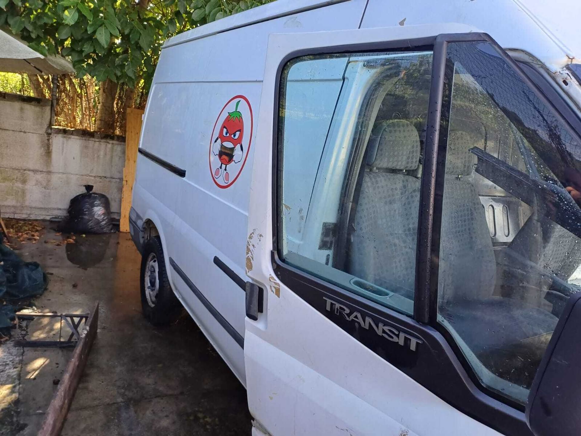 Ford Transit/Tourneo/Bus