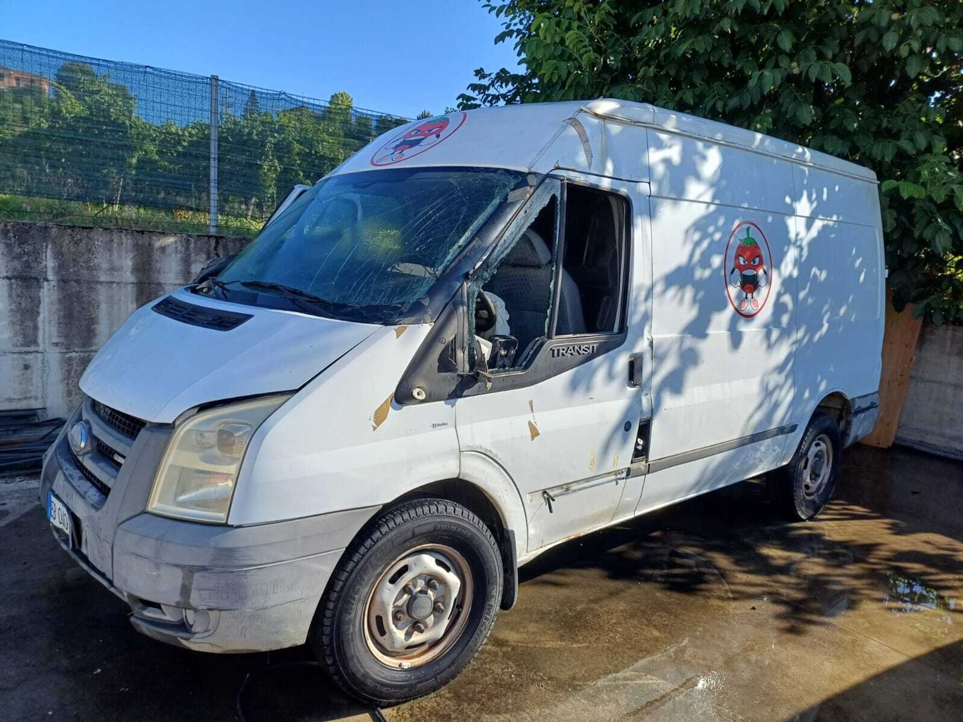 Ford Transit/Tourneo/Bus