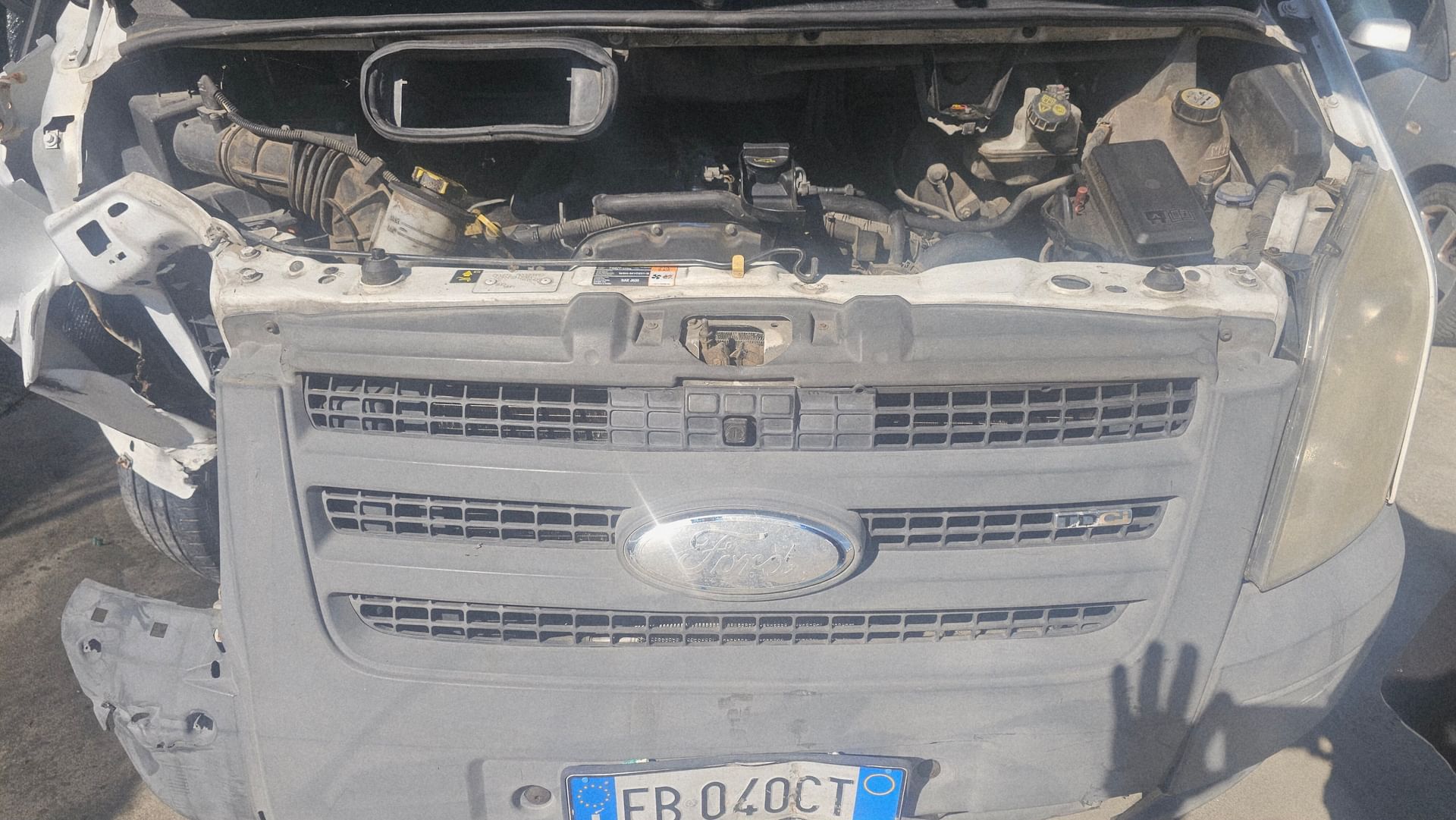 Ford Transit/Tourneo/Bus