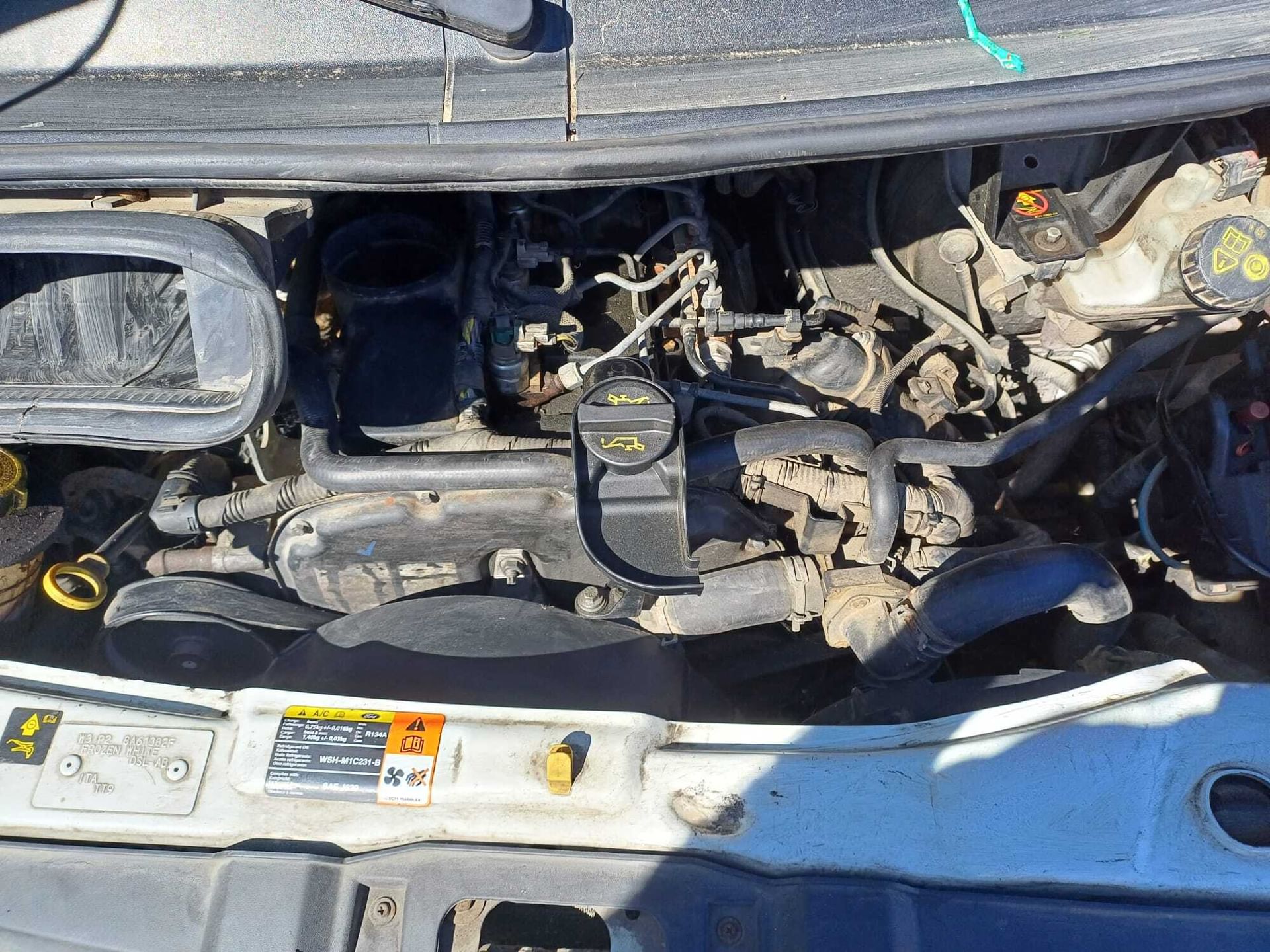 Ford Transit/Tourneo/Bus