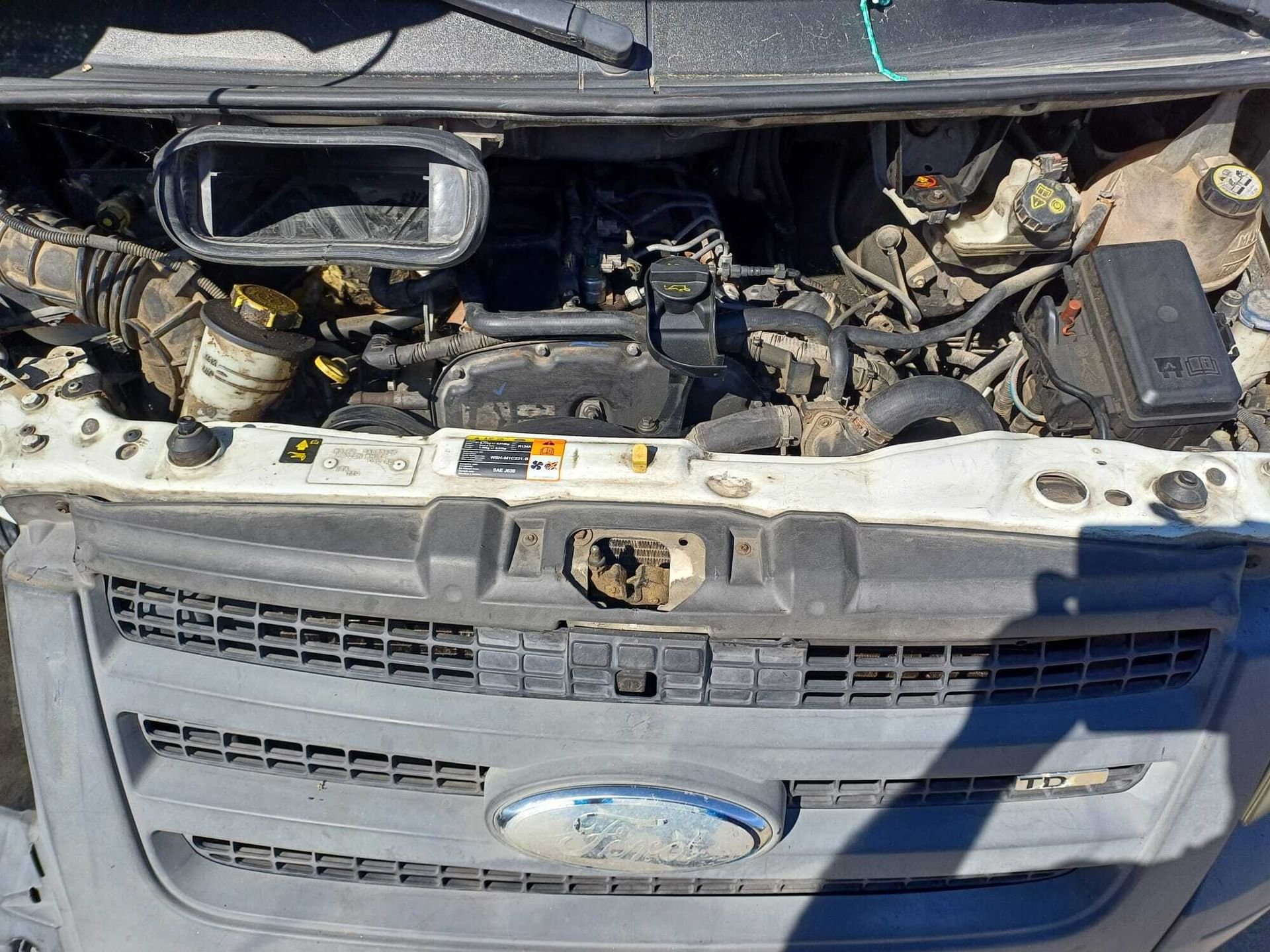 Ford Transit/Tourneo/Bus