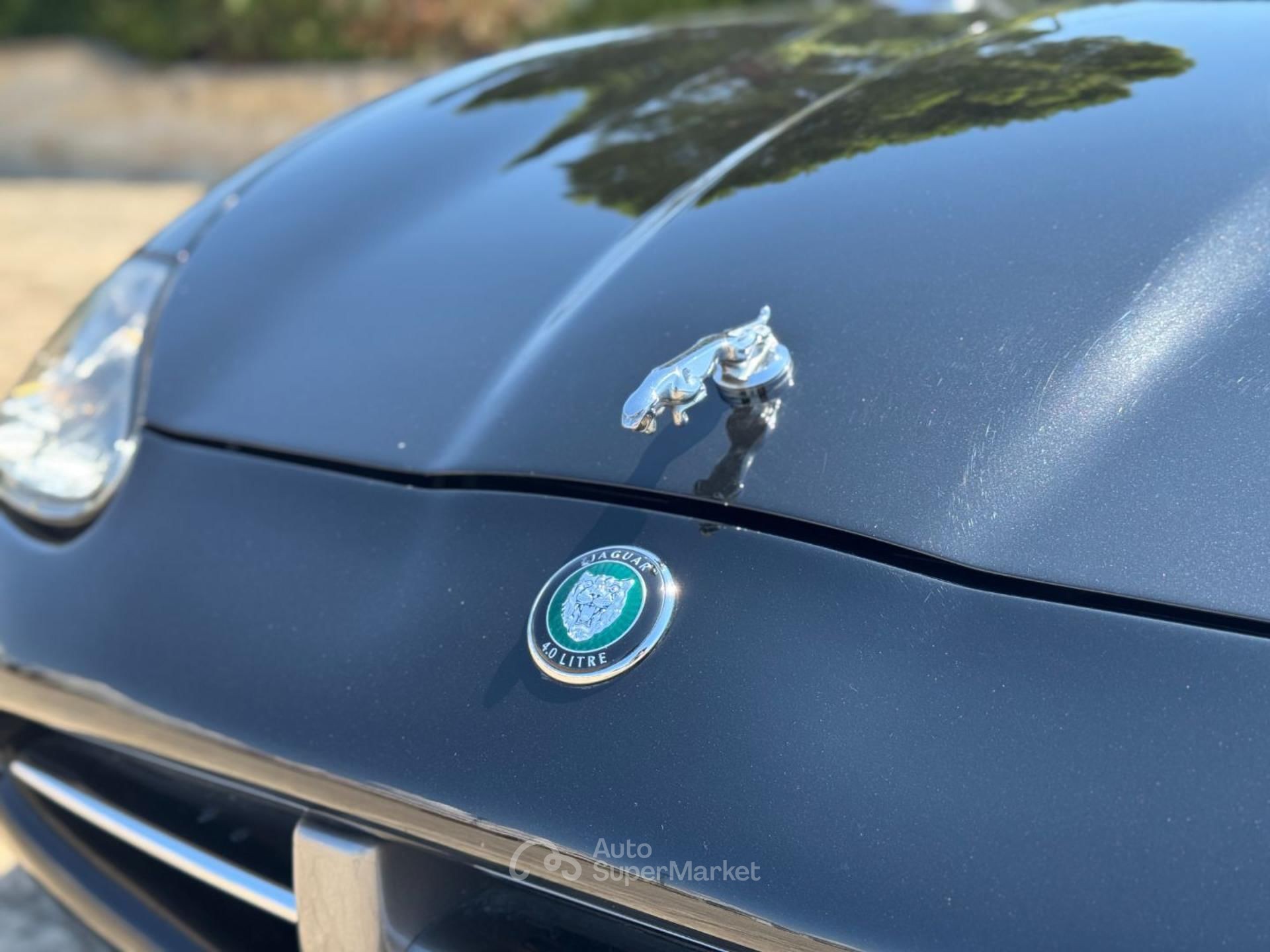 Jaguar XK
