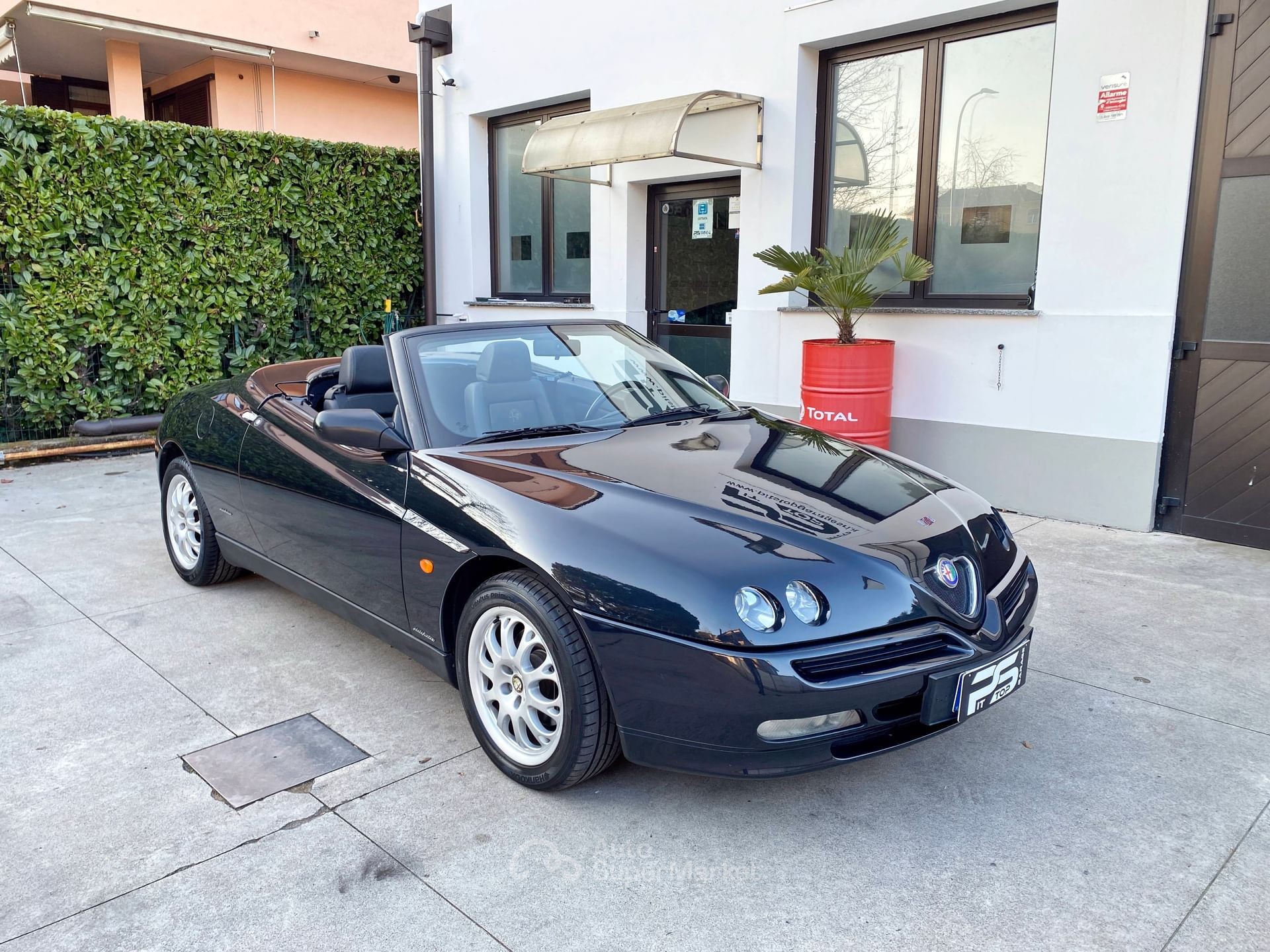 Alfa Romeo Spider