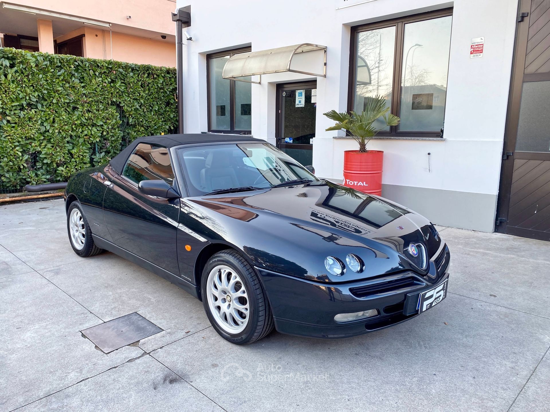 Alfa Romeo Spider