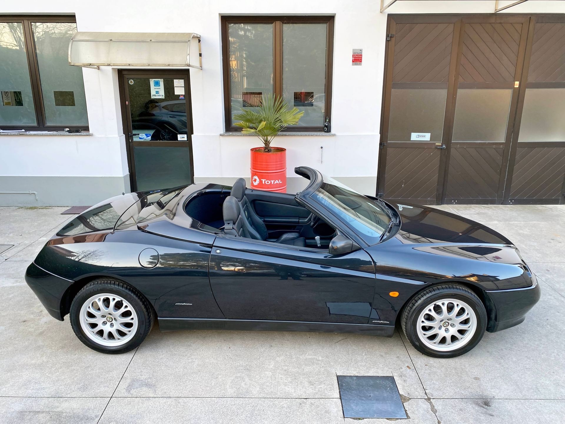 Alfa Romeo Spider