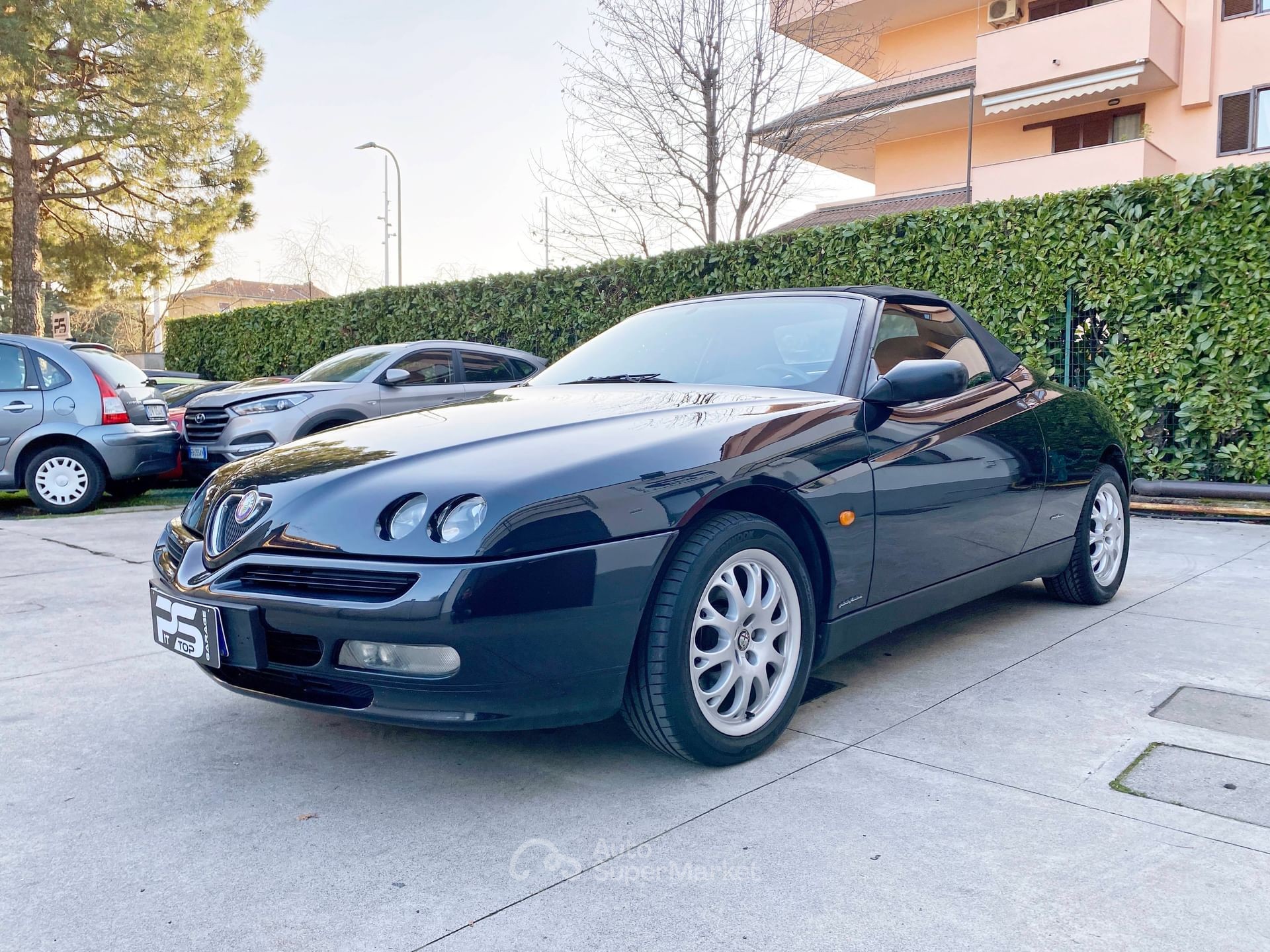 Alfa Romeo Spider