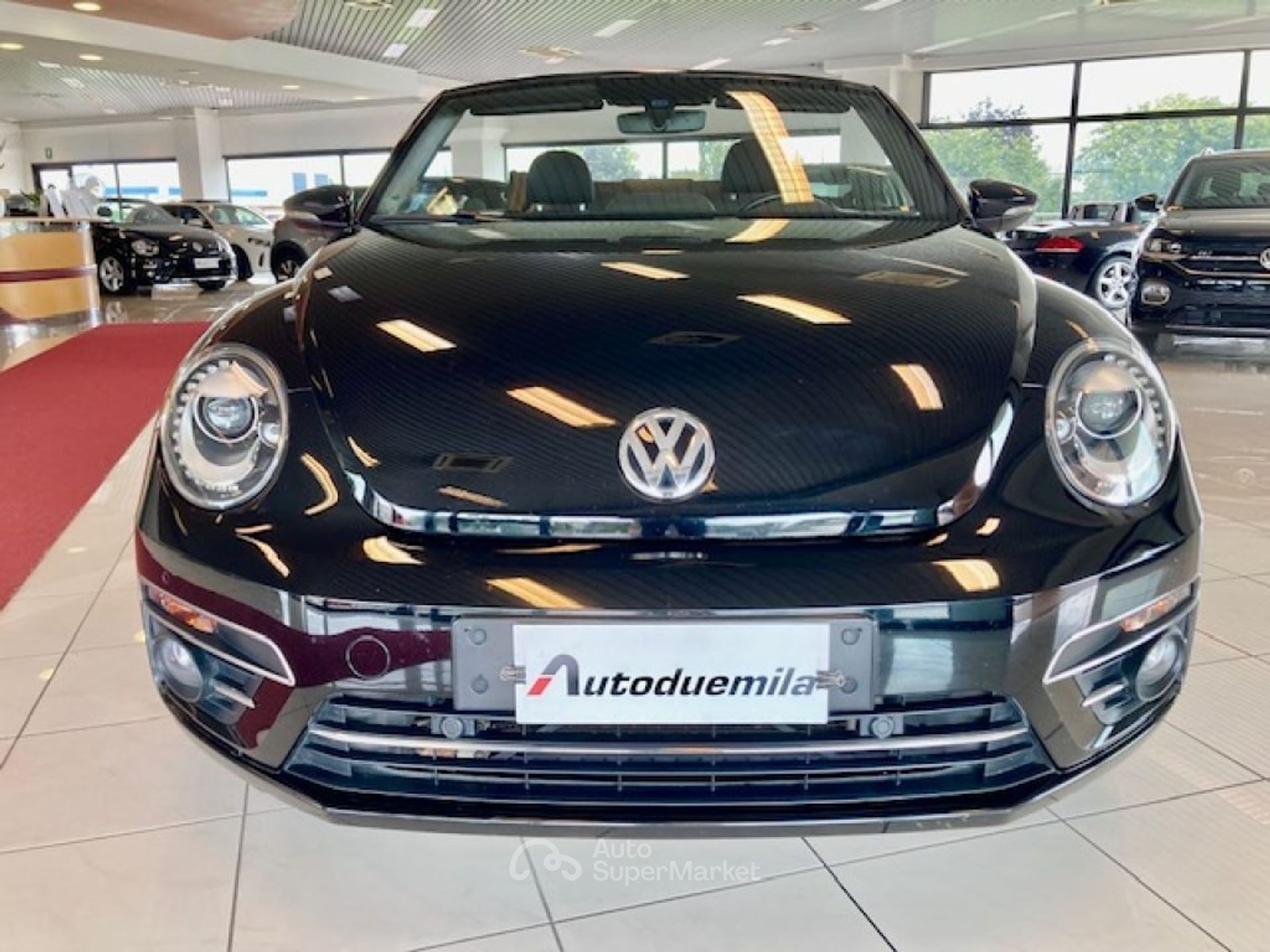 Volkswagen Maggiolino