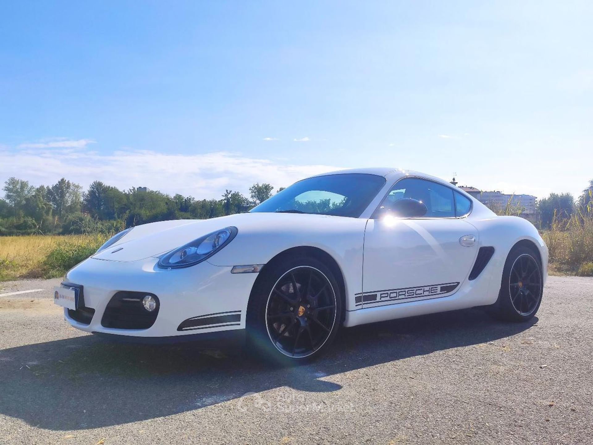 Porsche Cayman