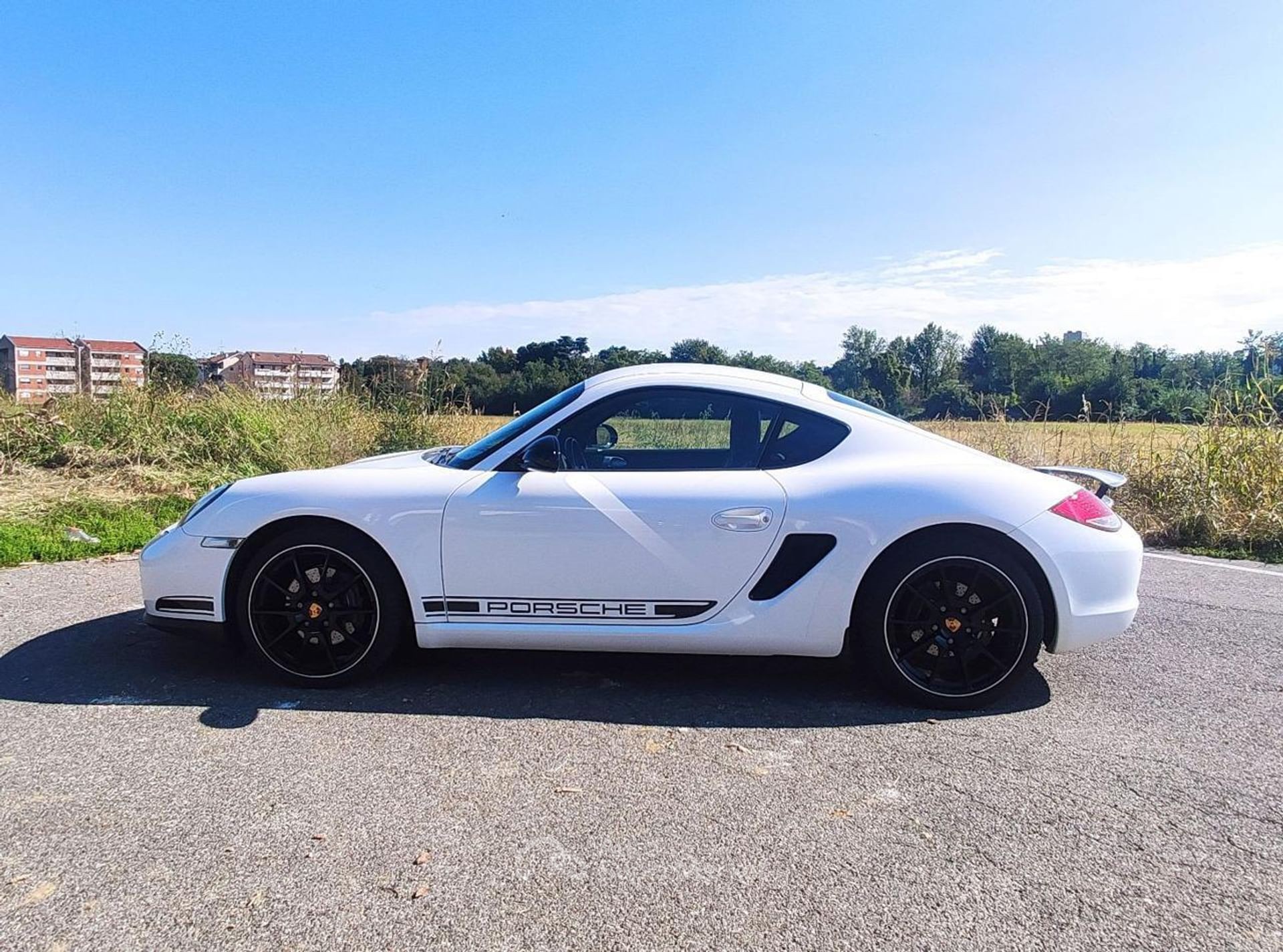 Porsche Cayman