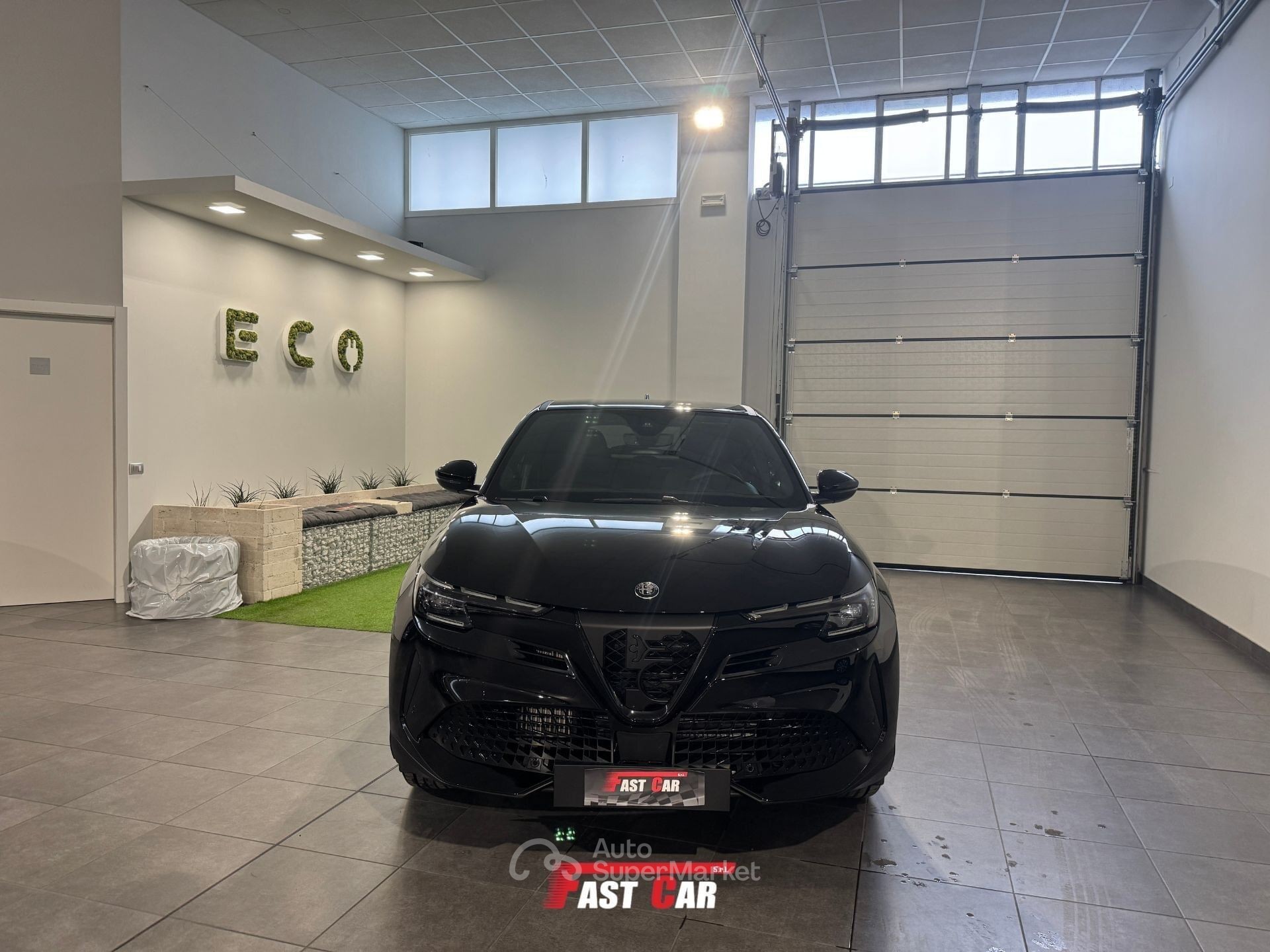 Alfa Romeo Junior