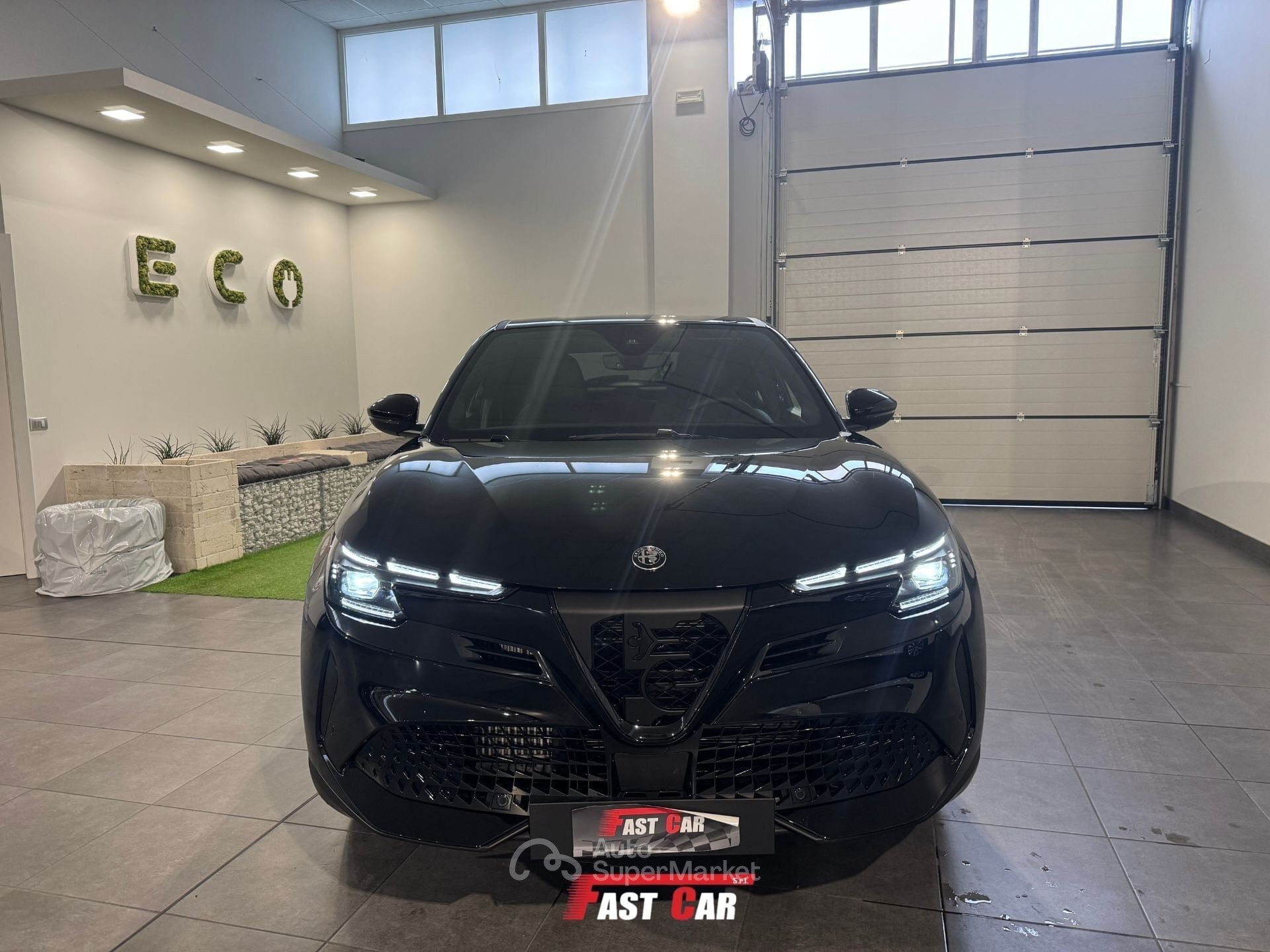 Alfa Romeo Junior