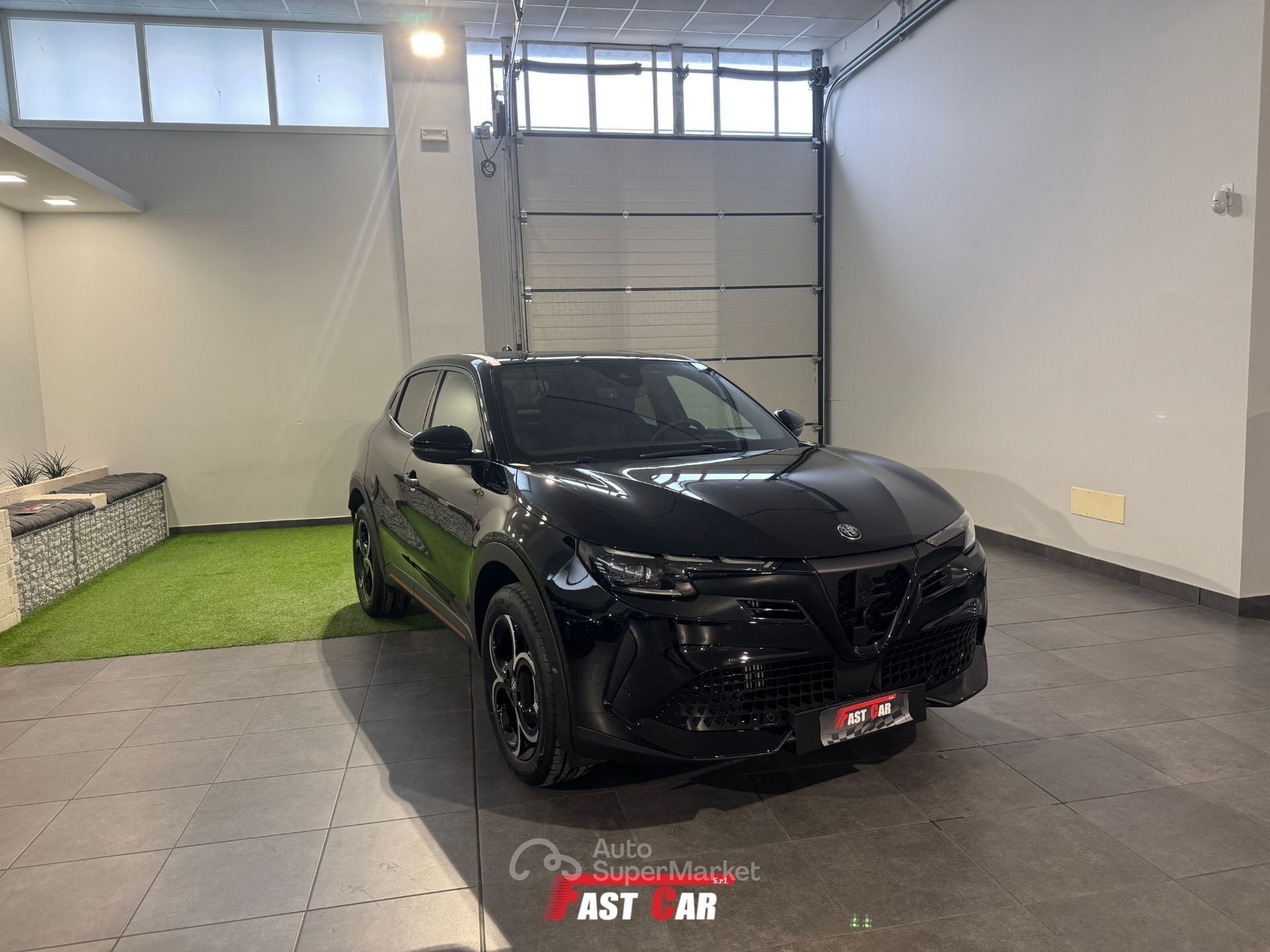 Alfa Romeo Junior