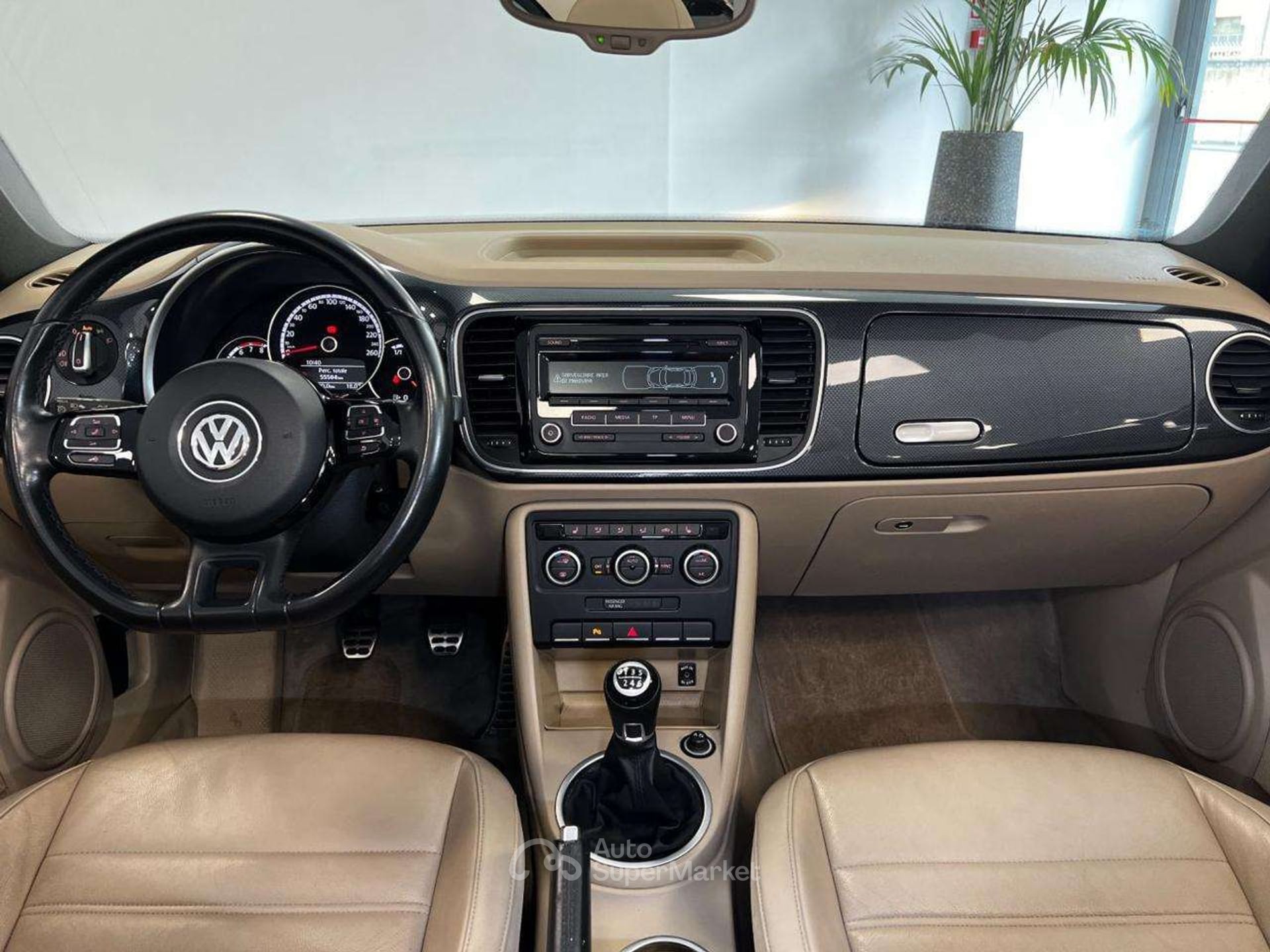 Volkswagen Maggiolino
