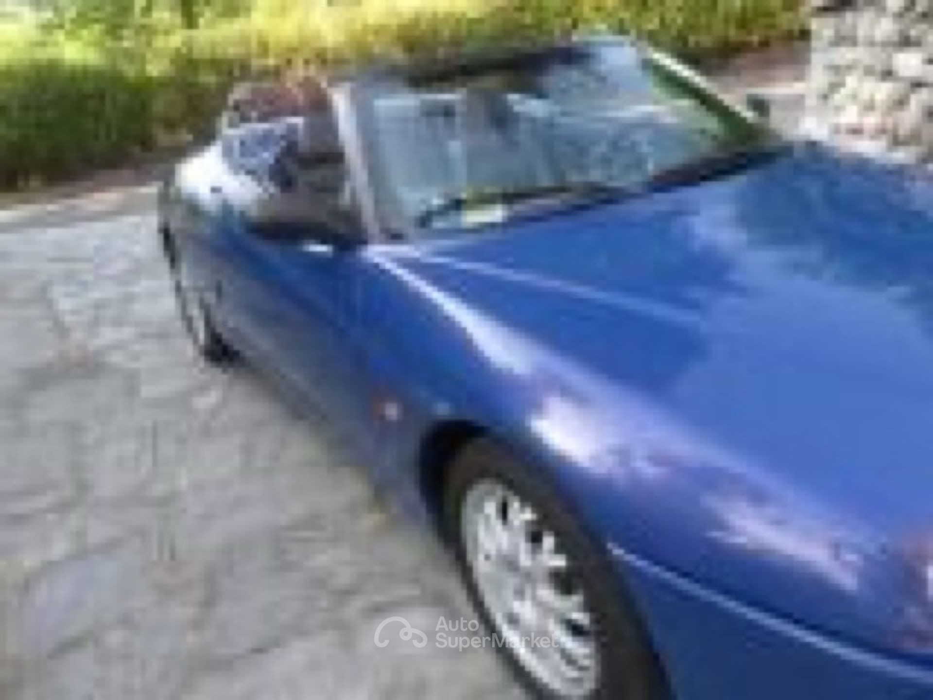 Alfa Romeo Gtv/Spider