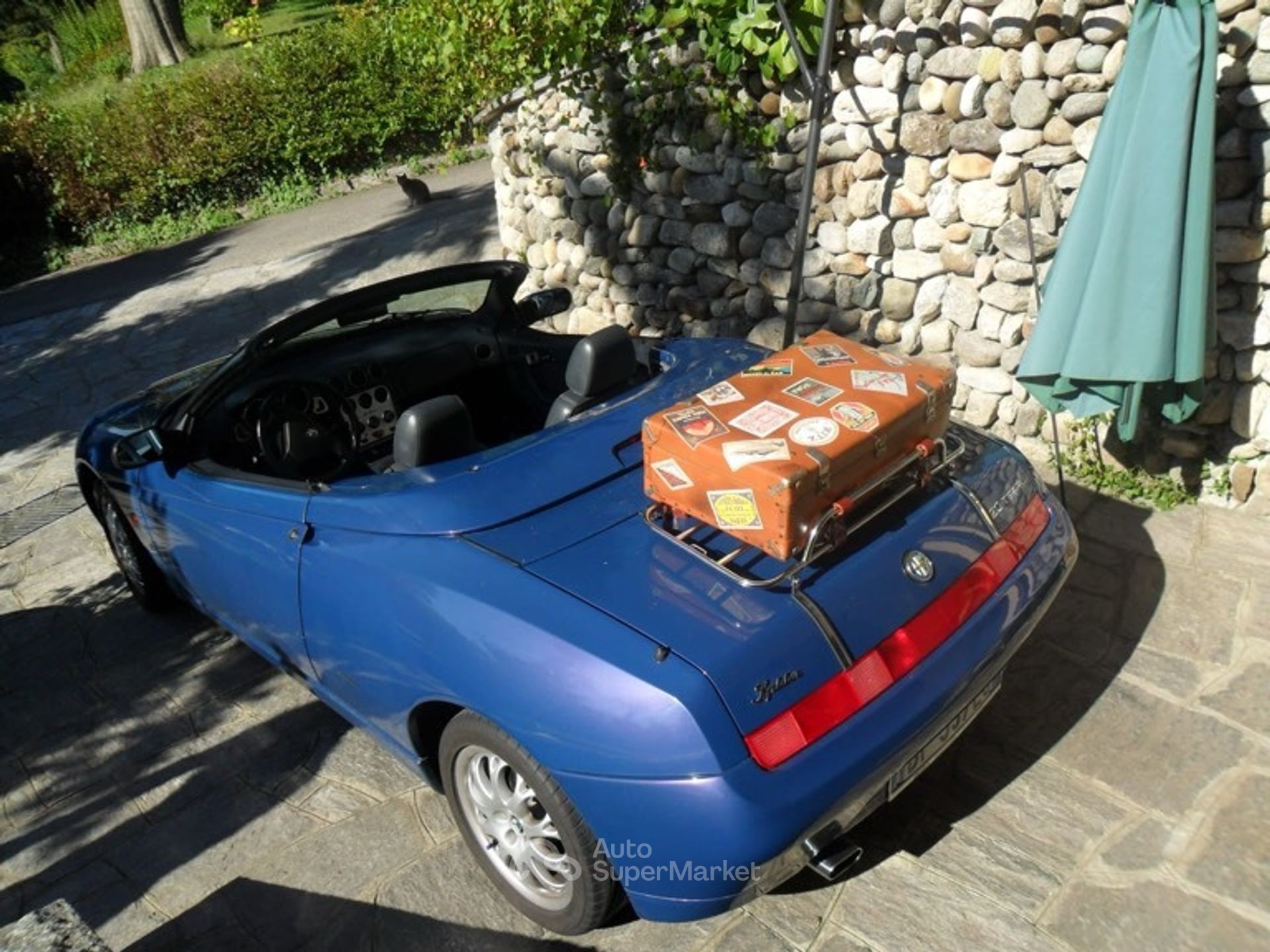 Alfa Romeo Gtv/Spider