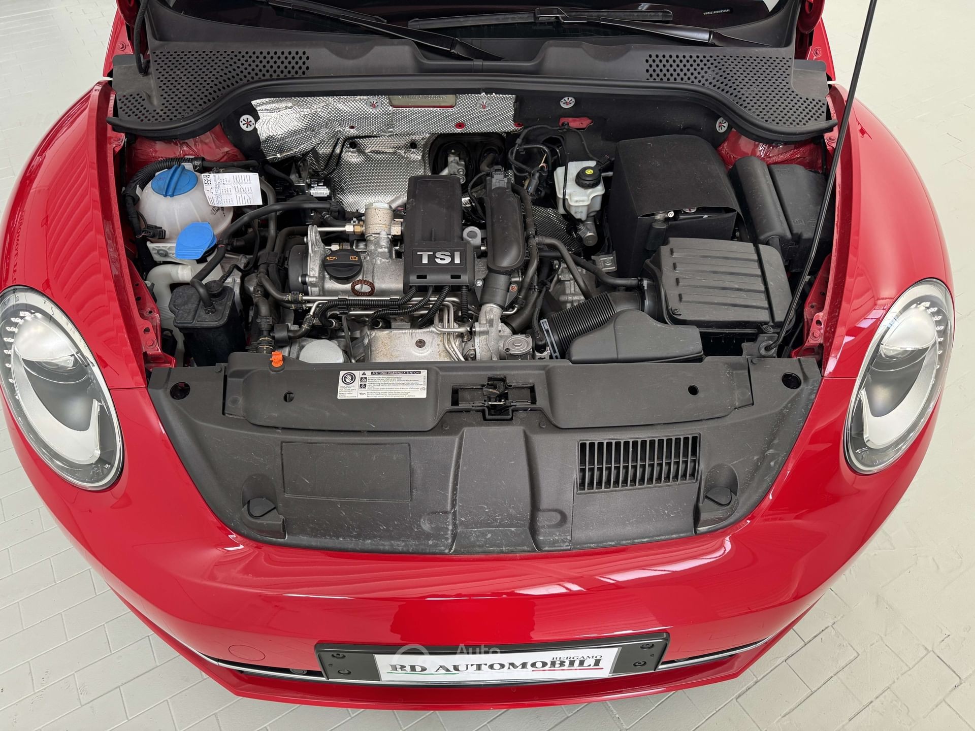 Volkswagen Maggiolino