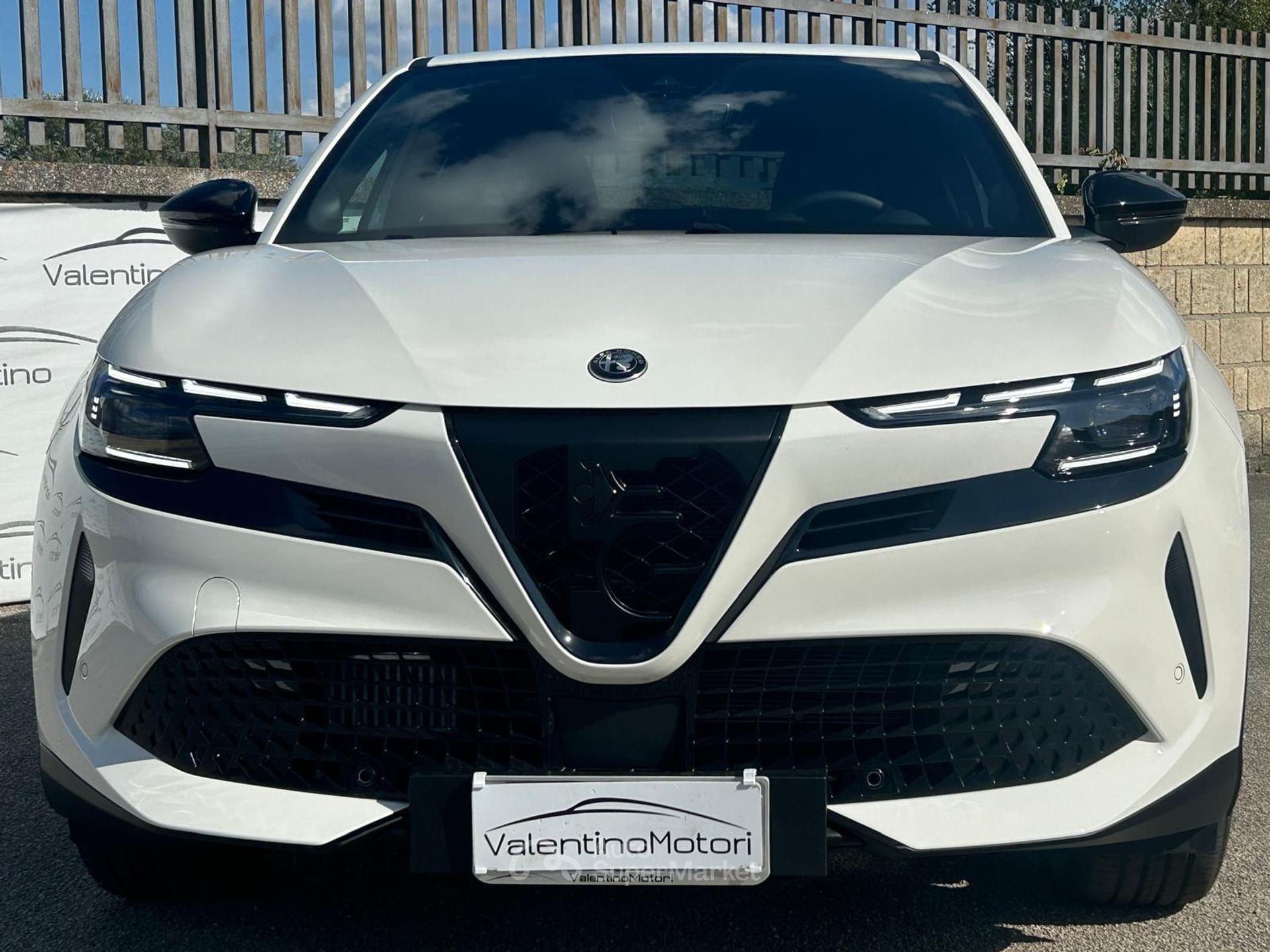 Alfa Romeo Junior
