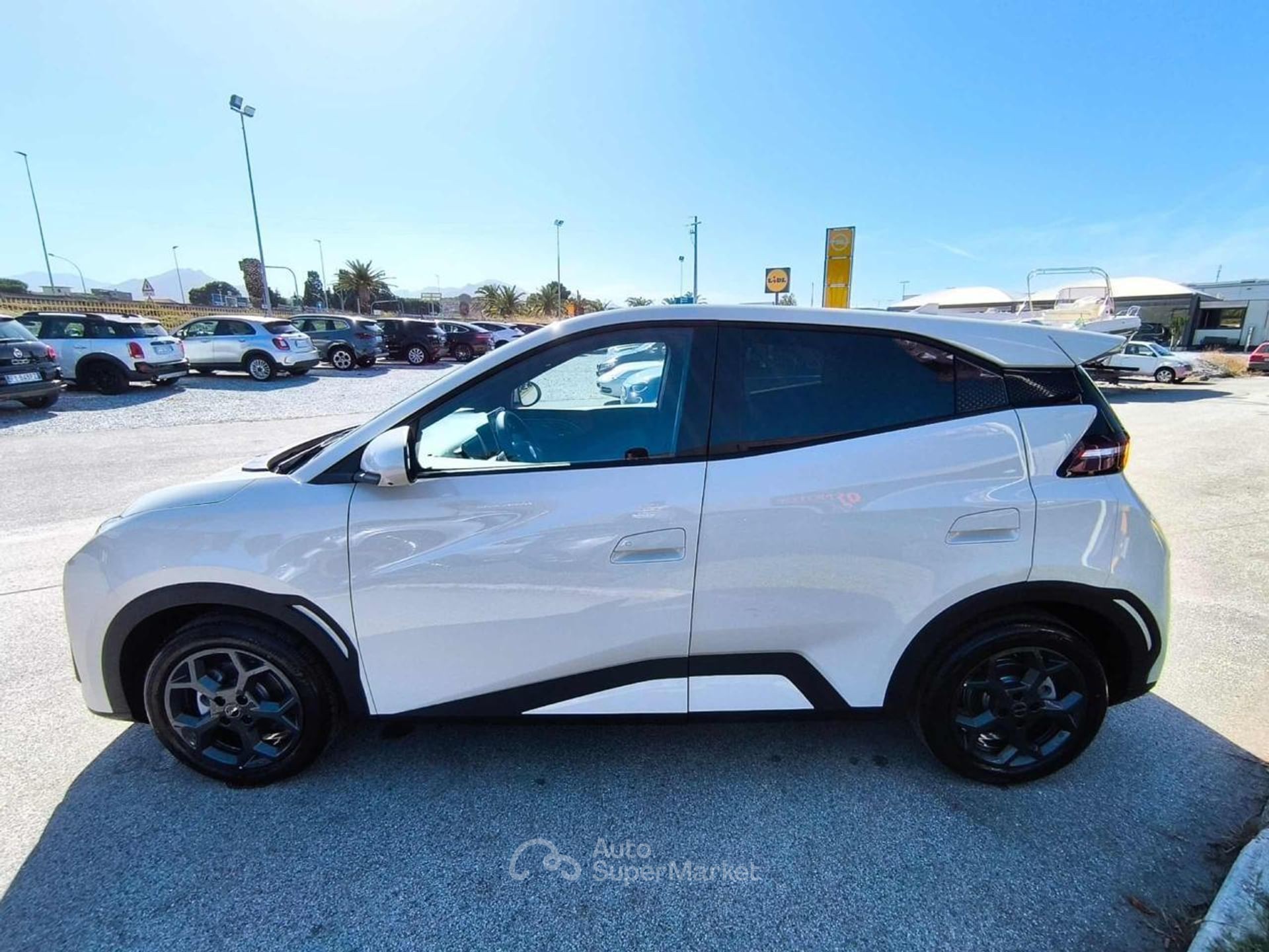 BYD Dolphin