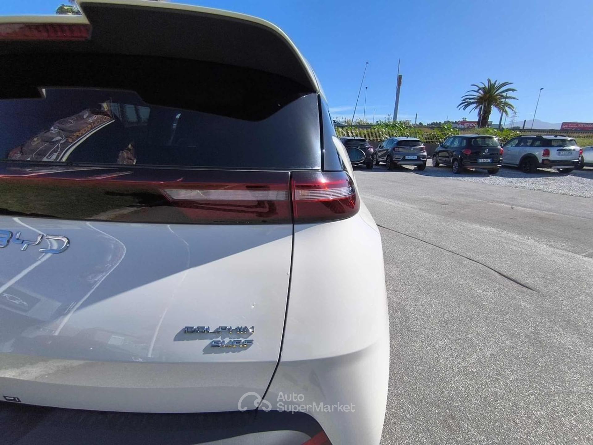 BYD Dolphin