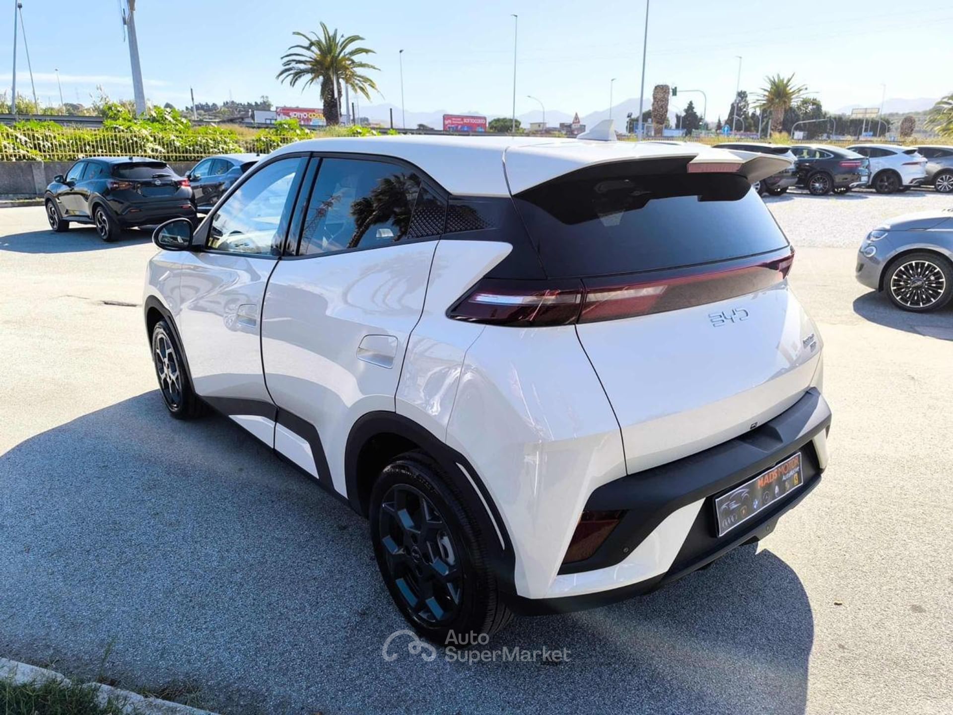 BYD Dolphin