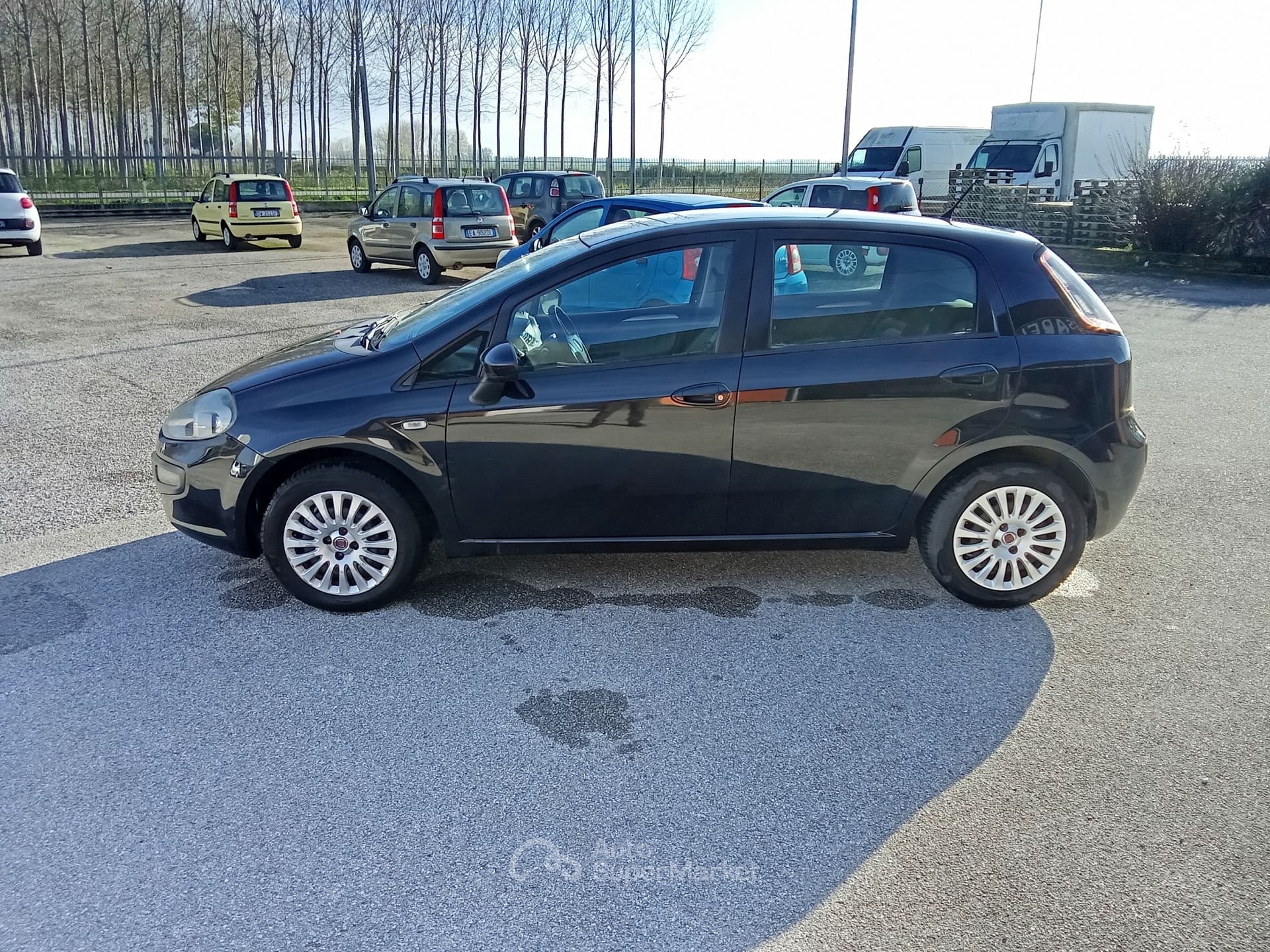 Fiat Punto Evo