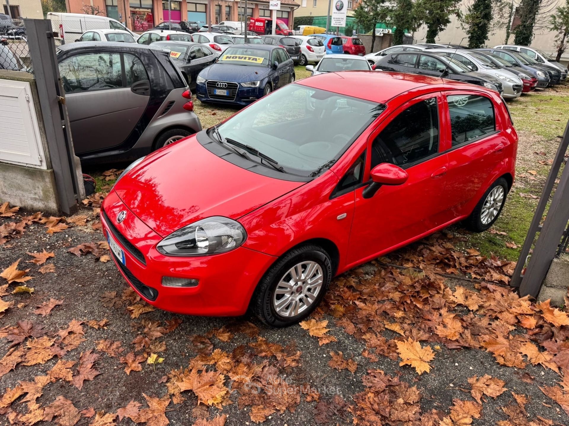 Fiat Punto