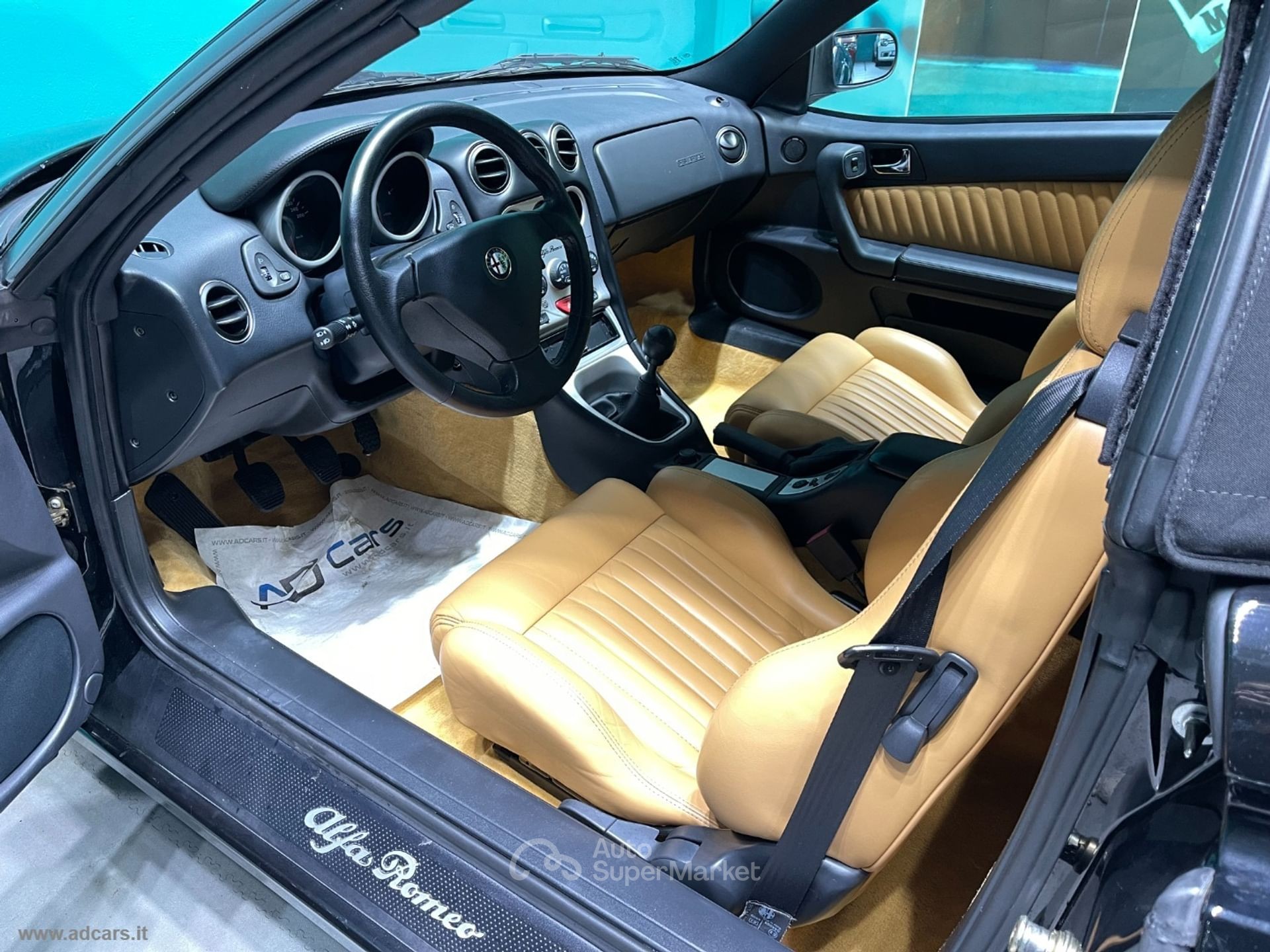 Alfa Romeo Gtv/Spider