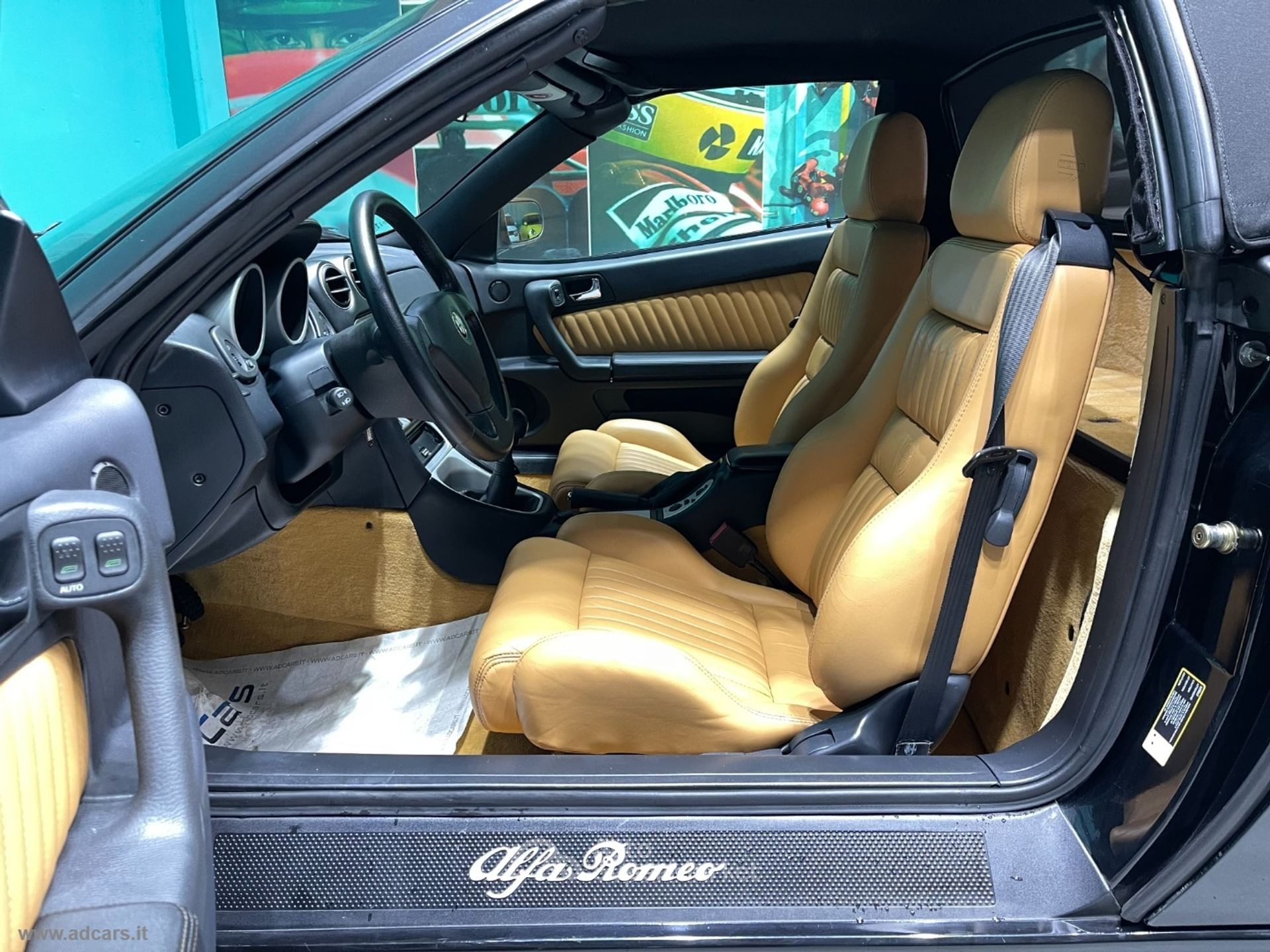 Alfa Romeo Gtv/Spider