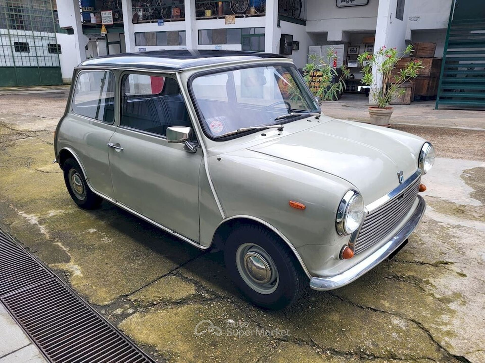 MINI Altro Modello