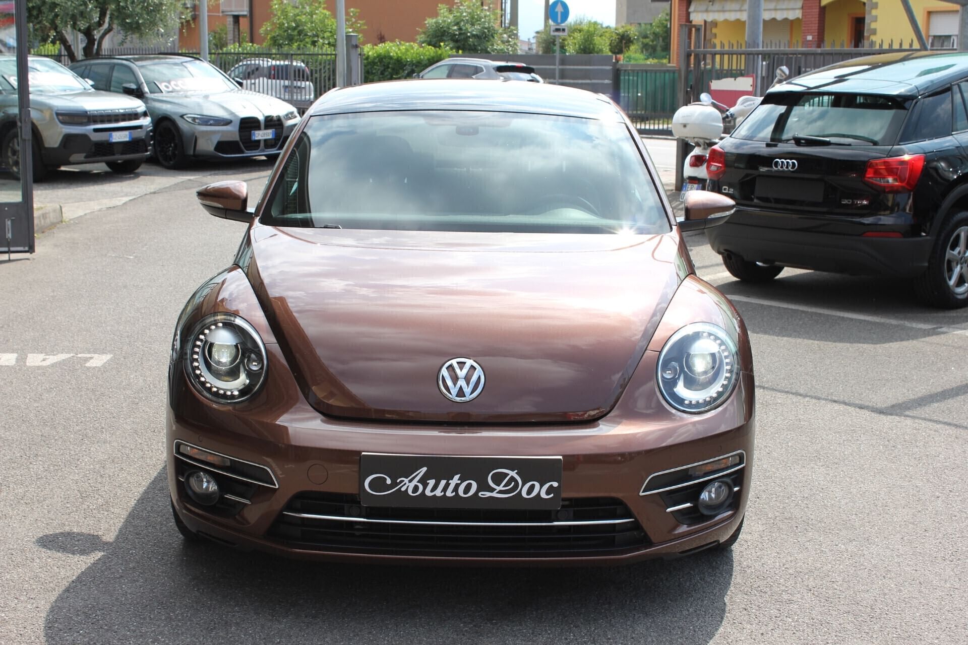 Volkswagen Maggiolino