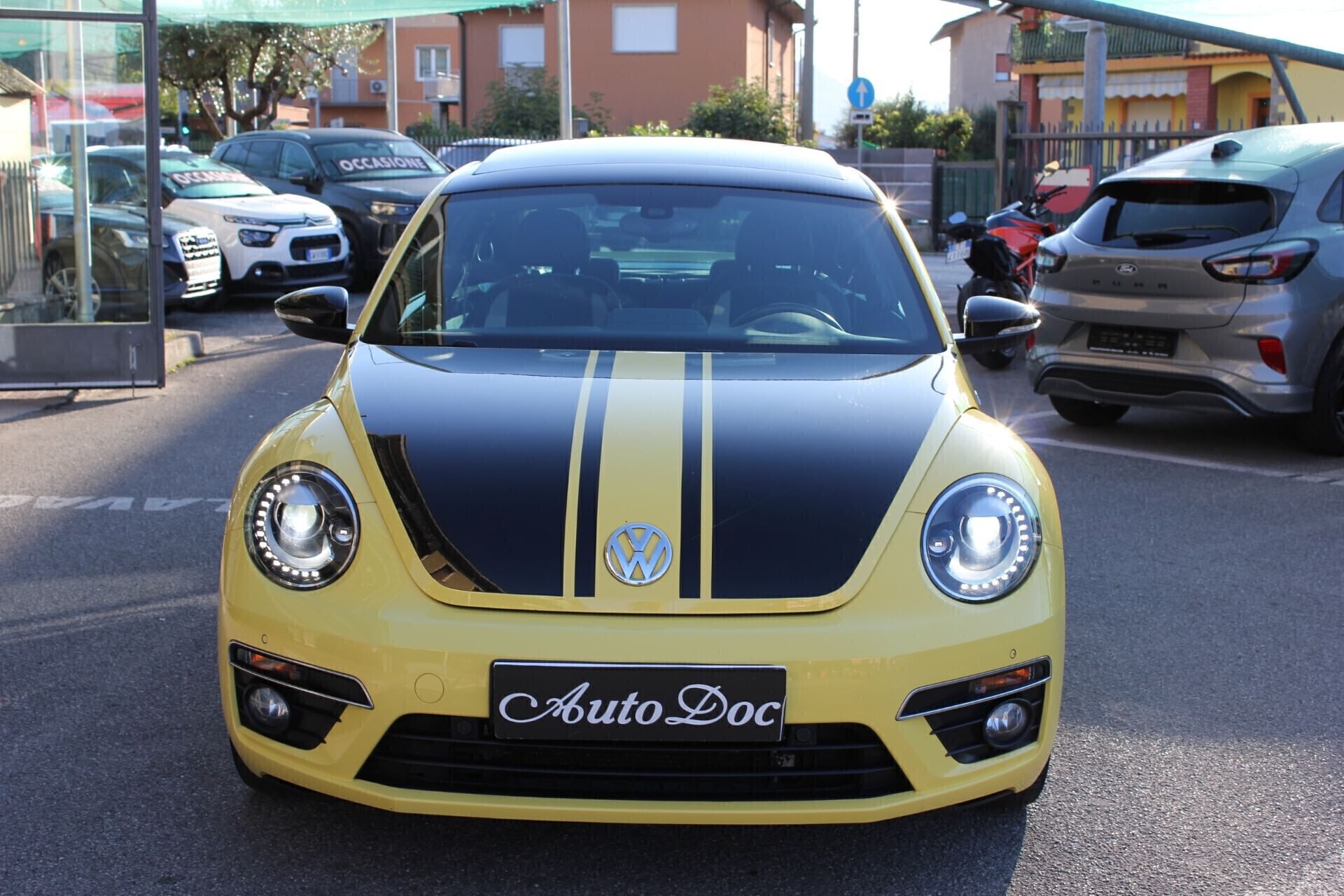 Volkswagen Maggiolino