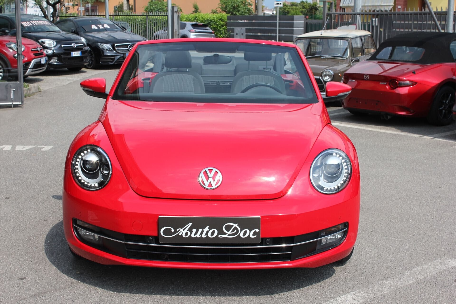 Volkswagen Maggiolino