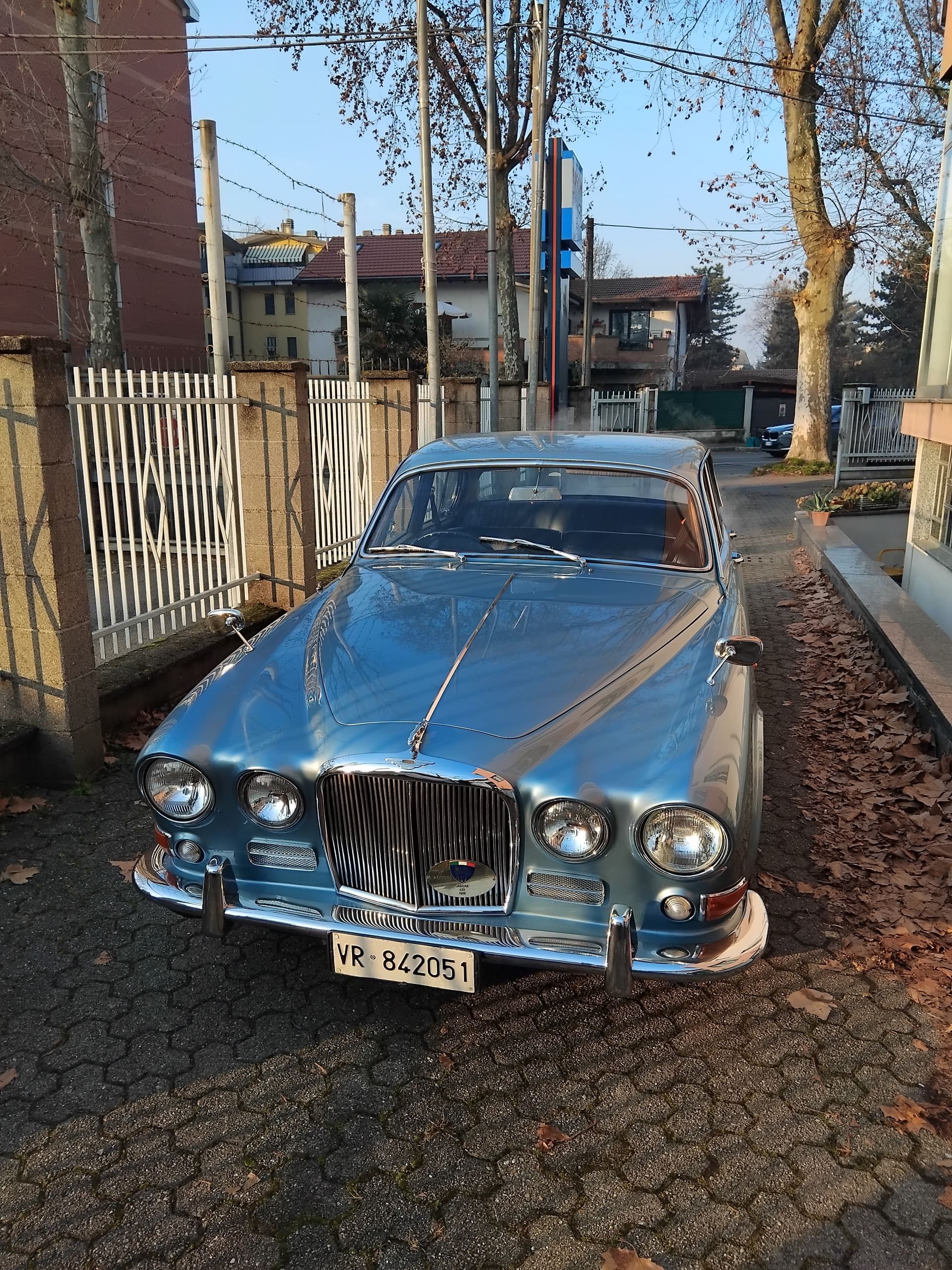 Jaguar Altri Modelli
