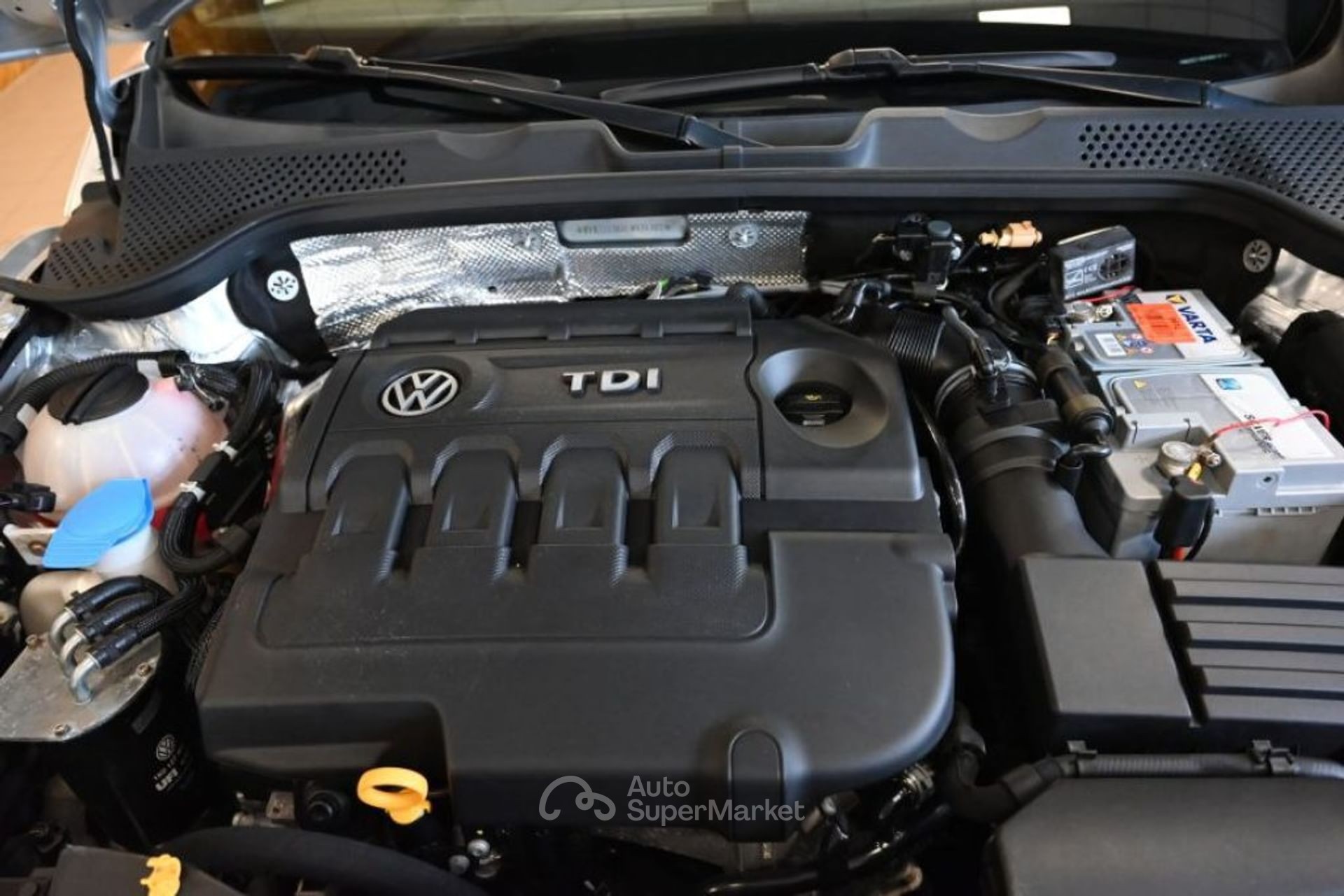 Volkswagen Maggiolino