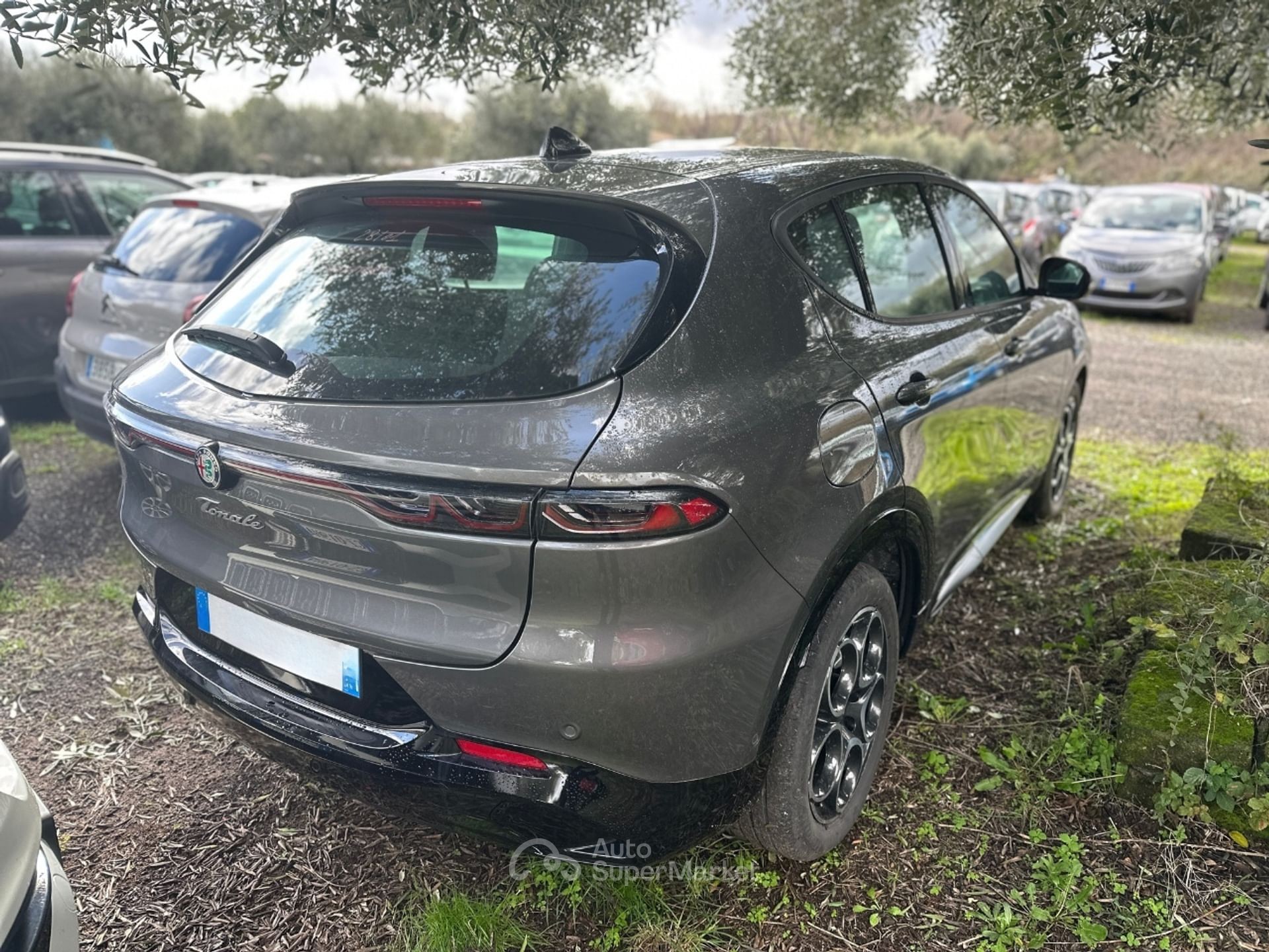Alfa Romeo Tonale