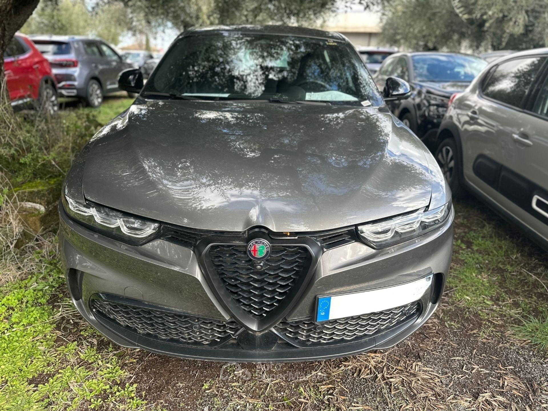 Alfa Romeo Tonale