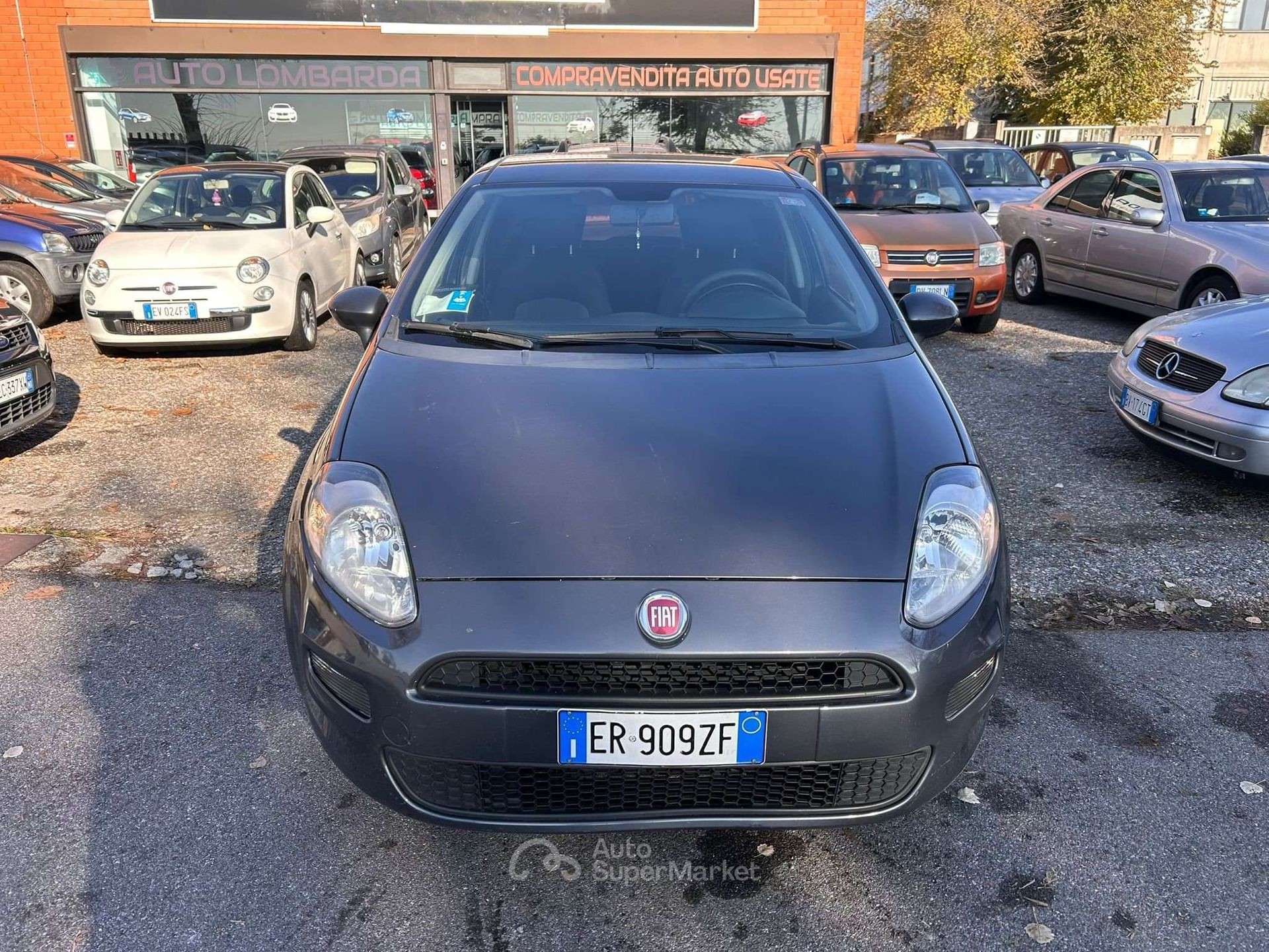 Fiat Punto