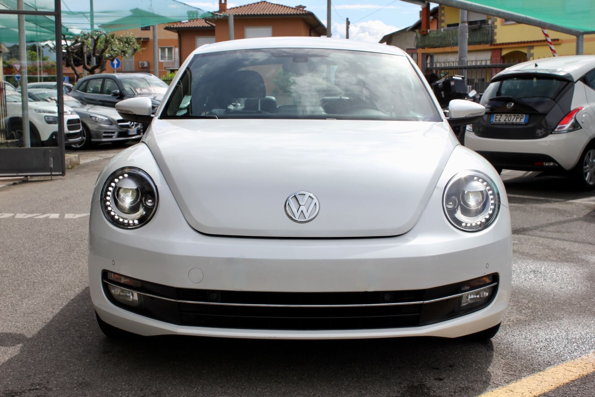 Volkswagen Maggiolino