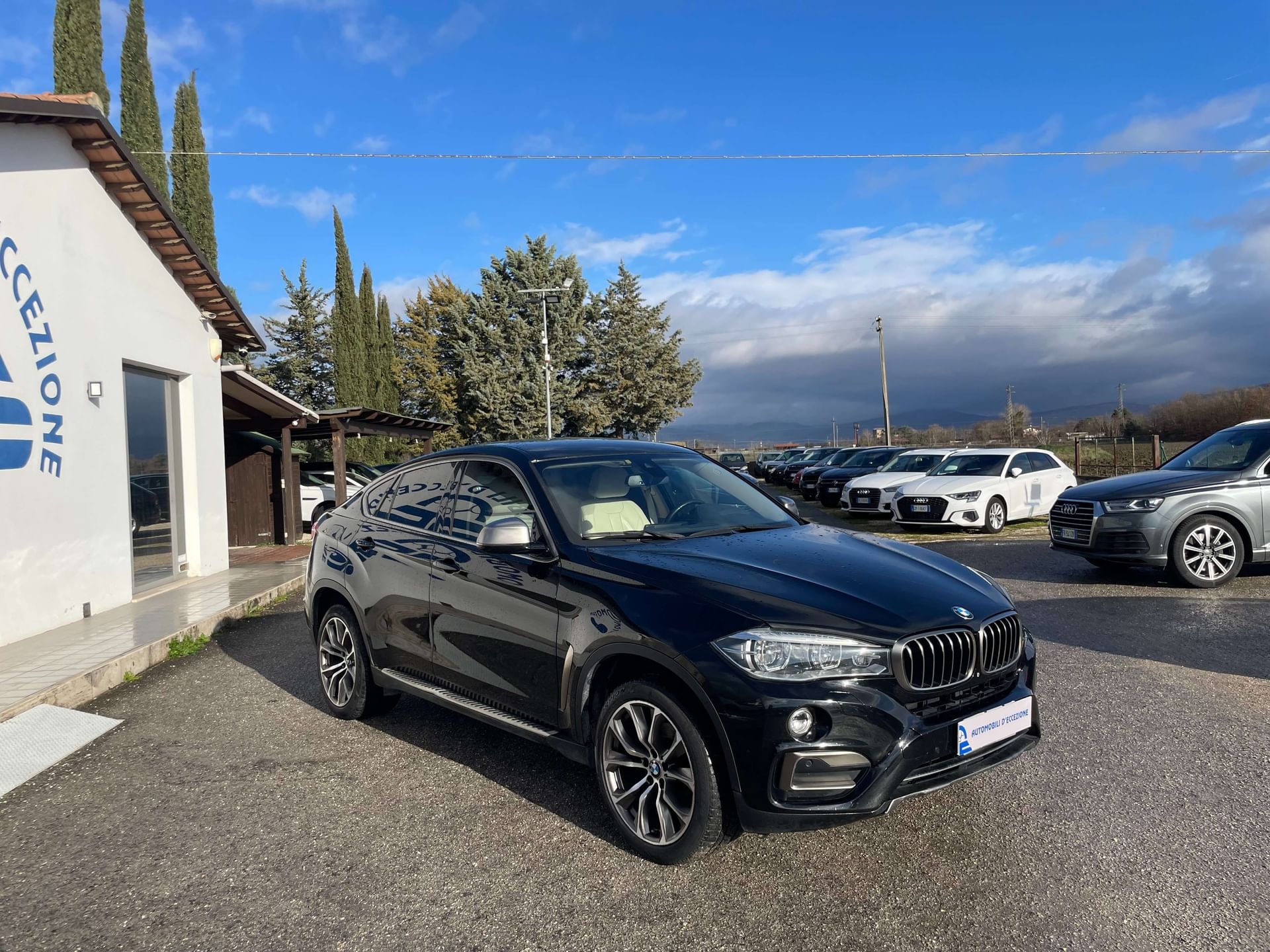BMW X6