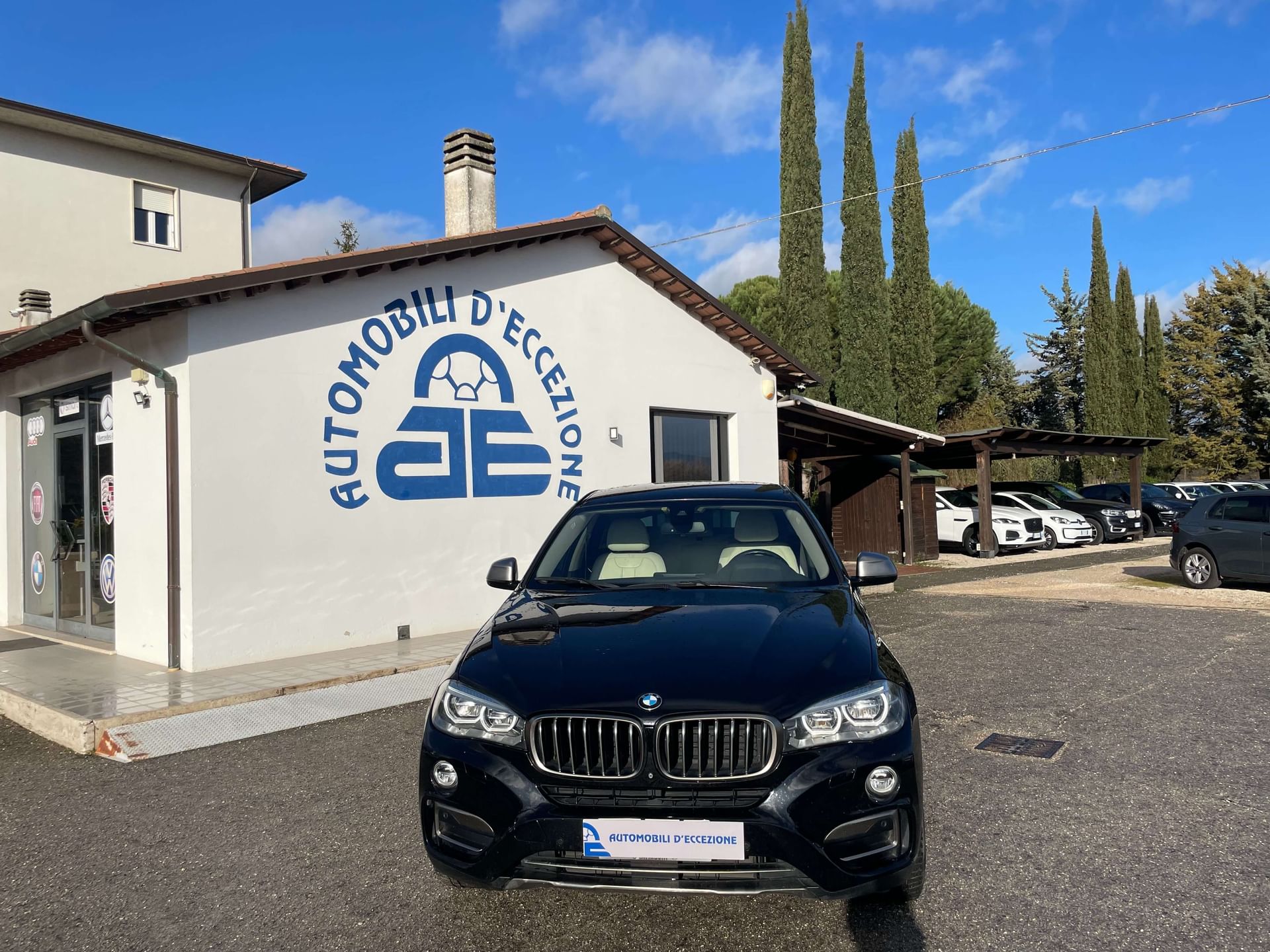 BMW X6