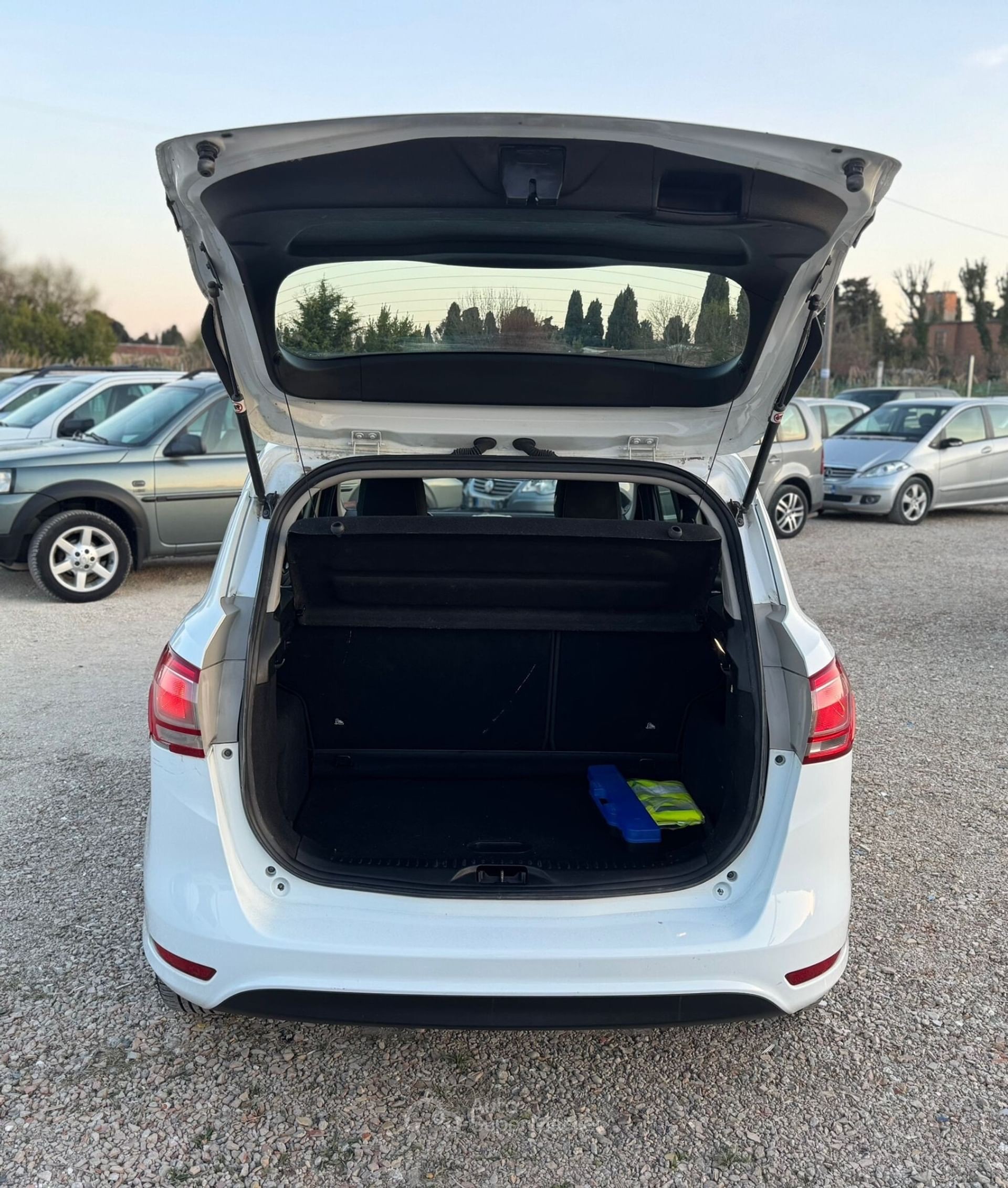 Ford B-Max