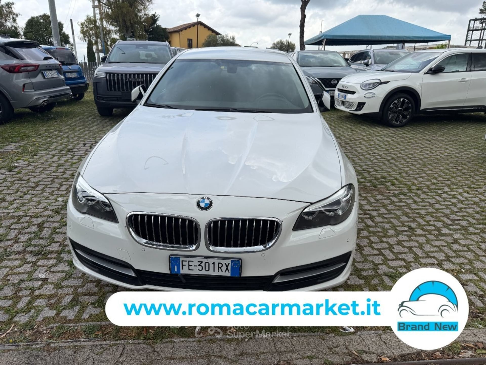 BMW Serie 5 530d Futura