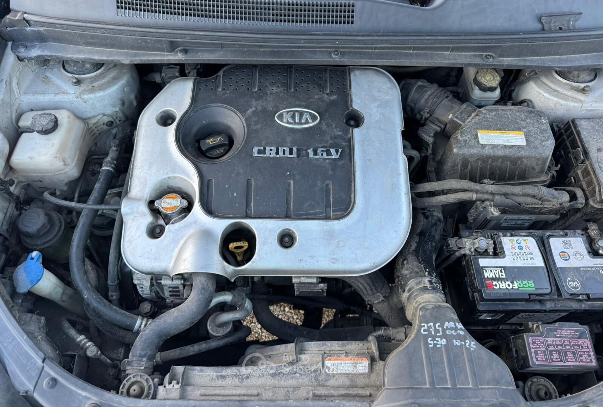Kia Carens