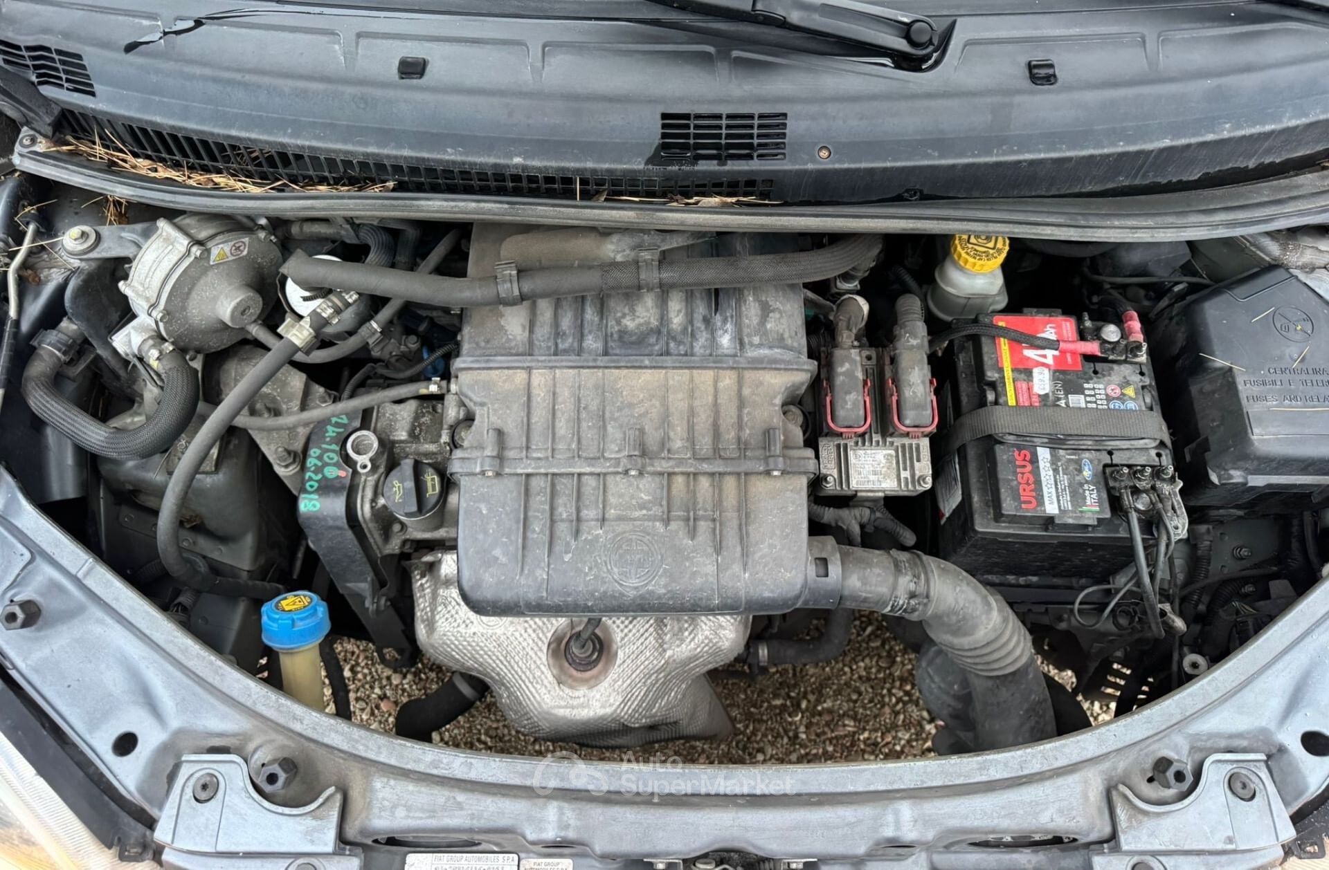 Lancia Musa