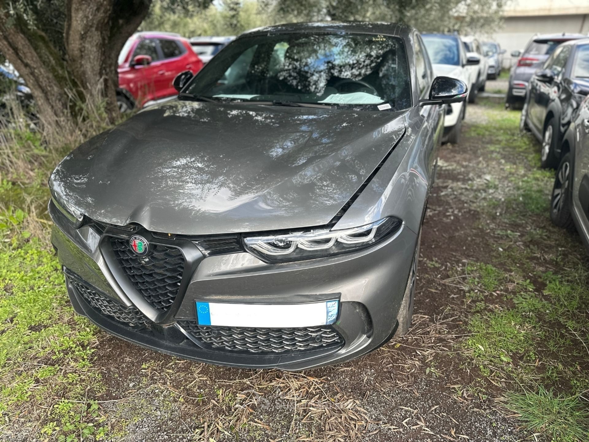 Alfa Romeo Tonale